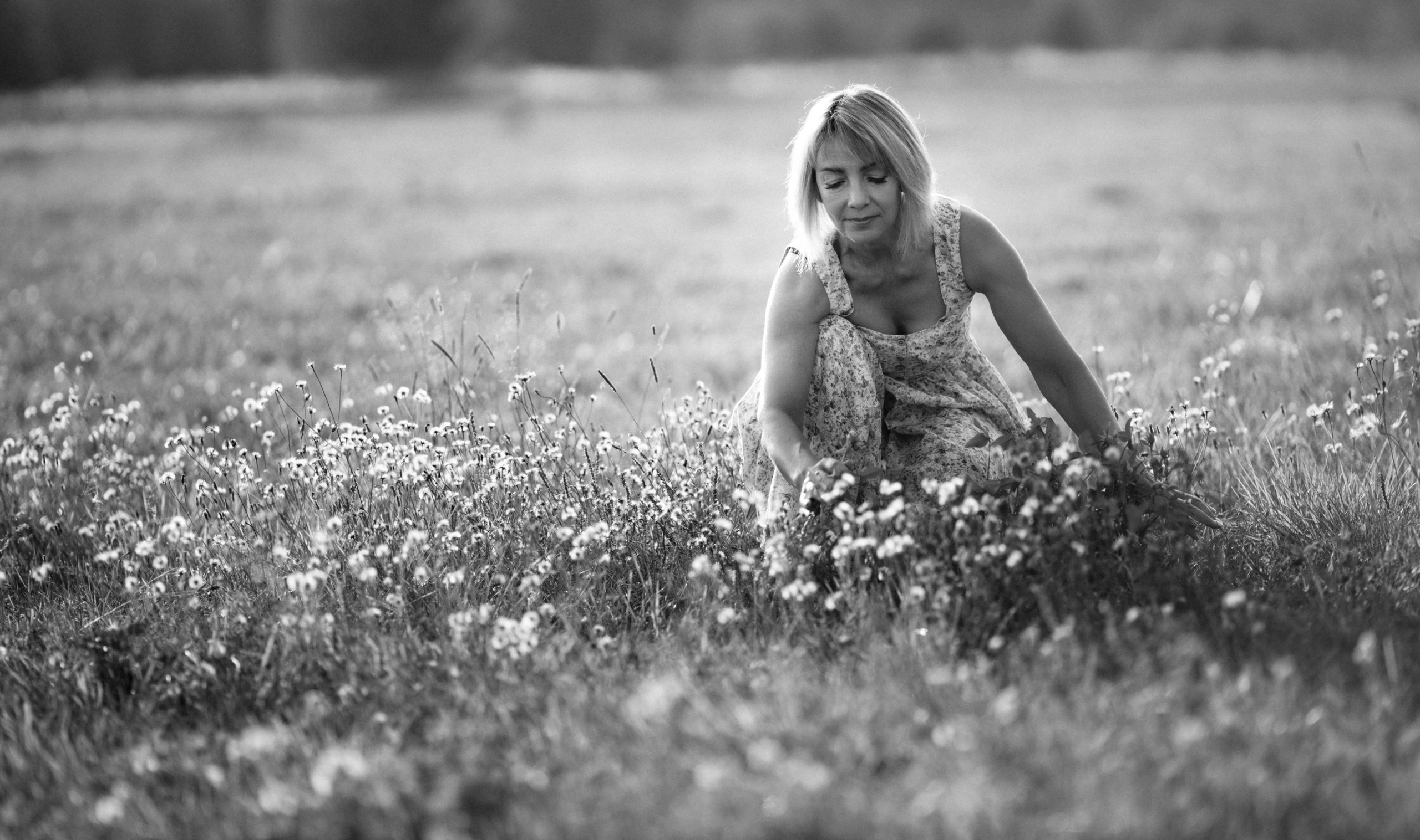 Полевой букет. Наталия Клевинскас портретный фотограф в Костроме