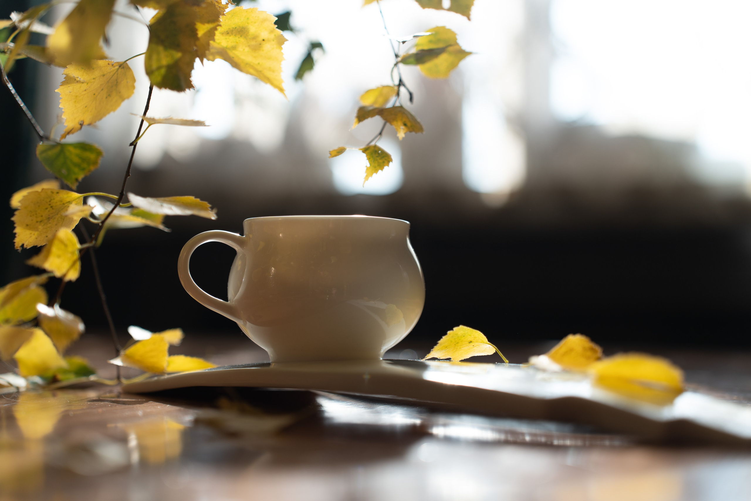 Фарфоровая посуда: Чайная пара «Лемех». Съемки для бизнеса в Москве