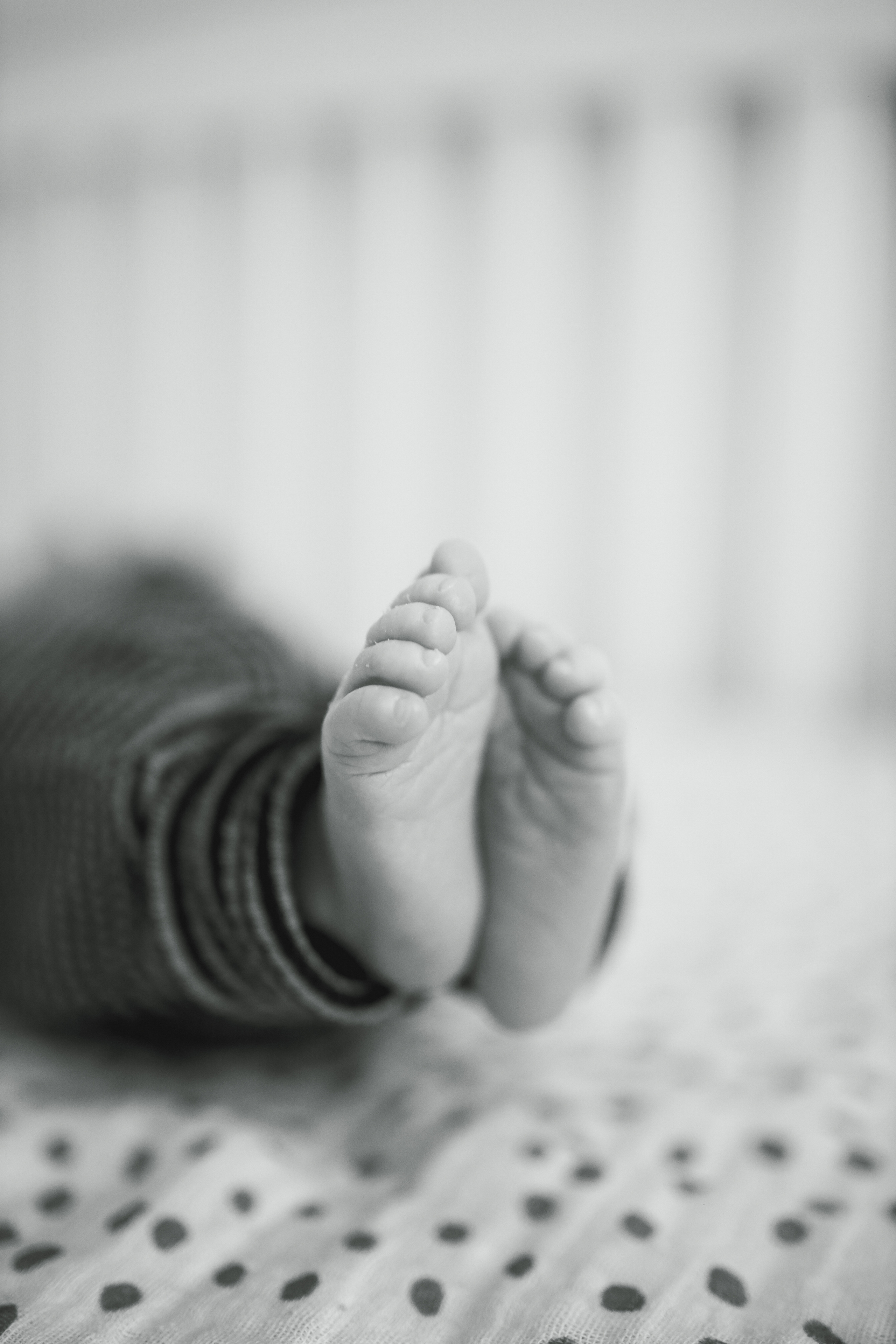 Арсений. Детский и семейный фотограф Москва Виктория Самоховец