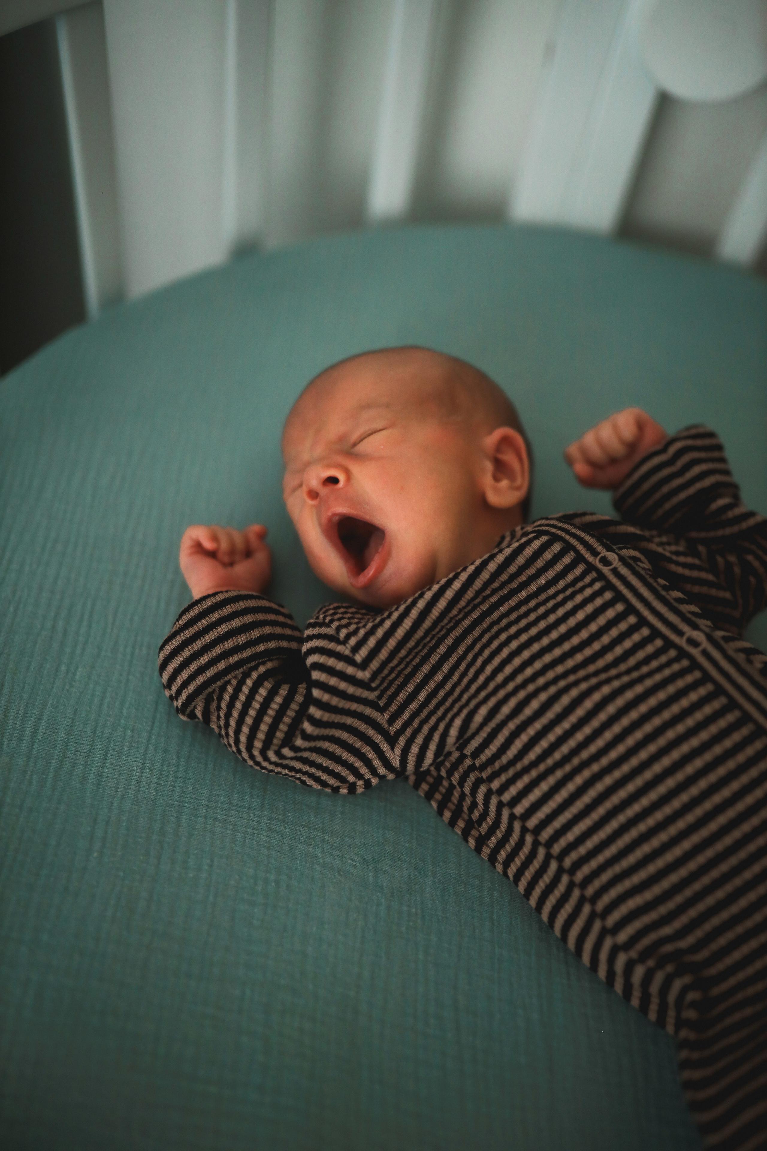 Арсений. Детский и семейный фотограф Москва Виктория Самоховец