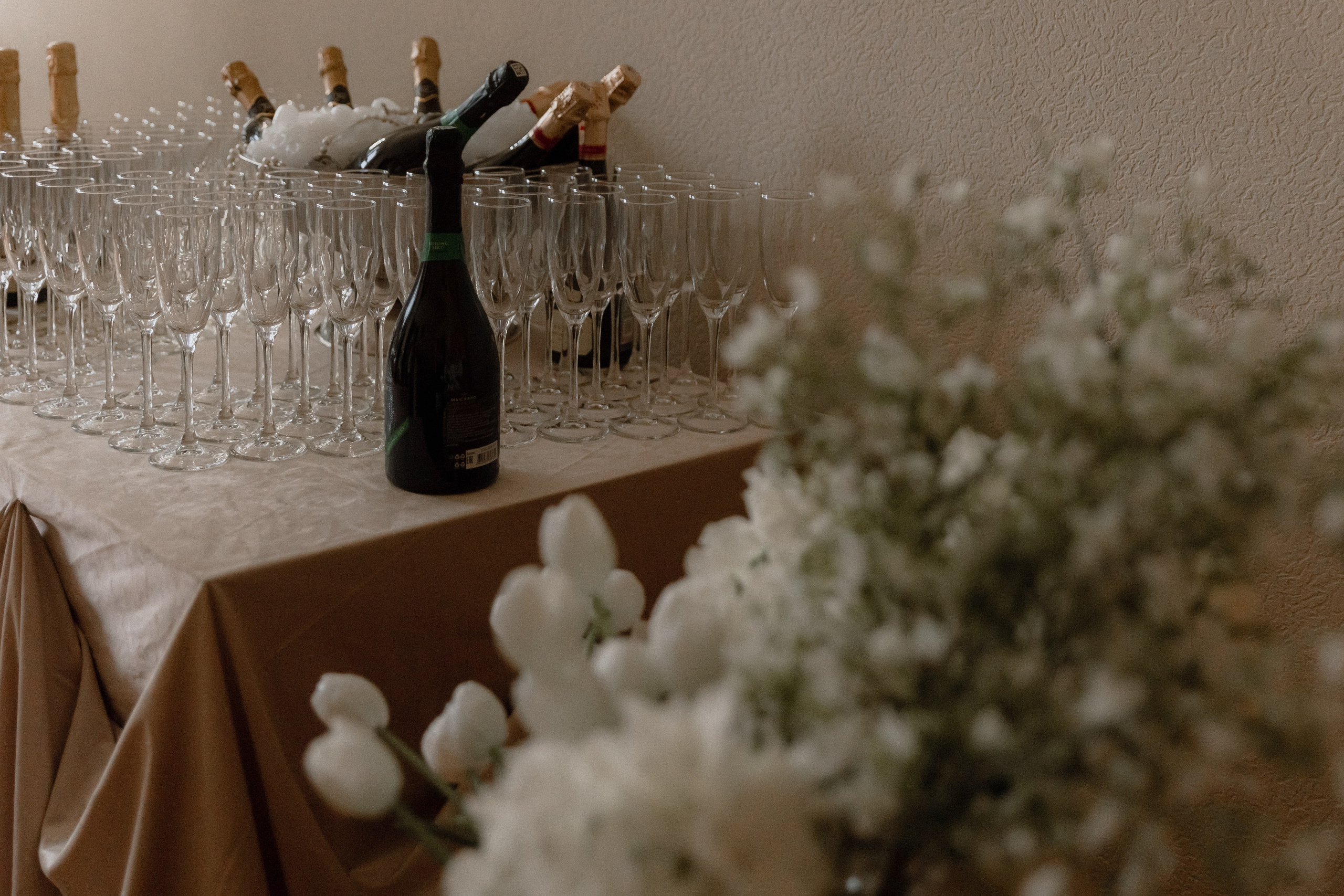 Особняк открытие. Фотограф Яна Белая