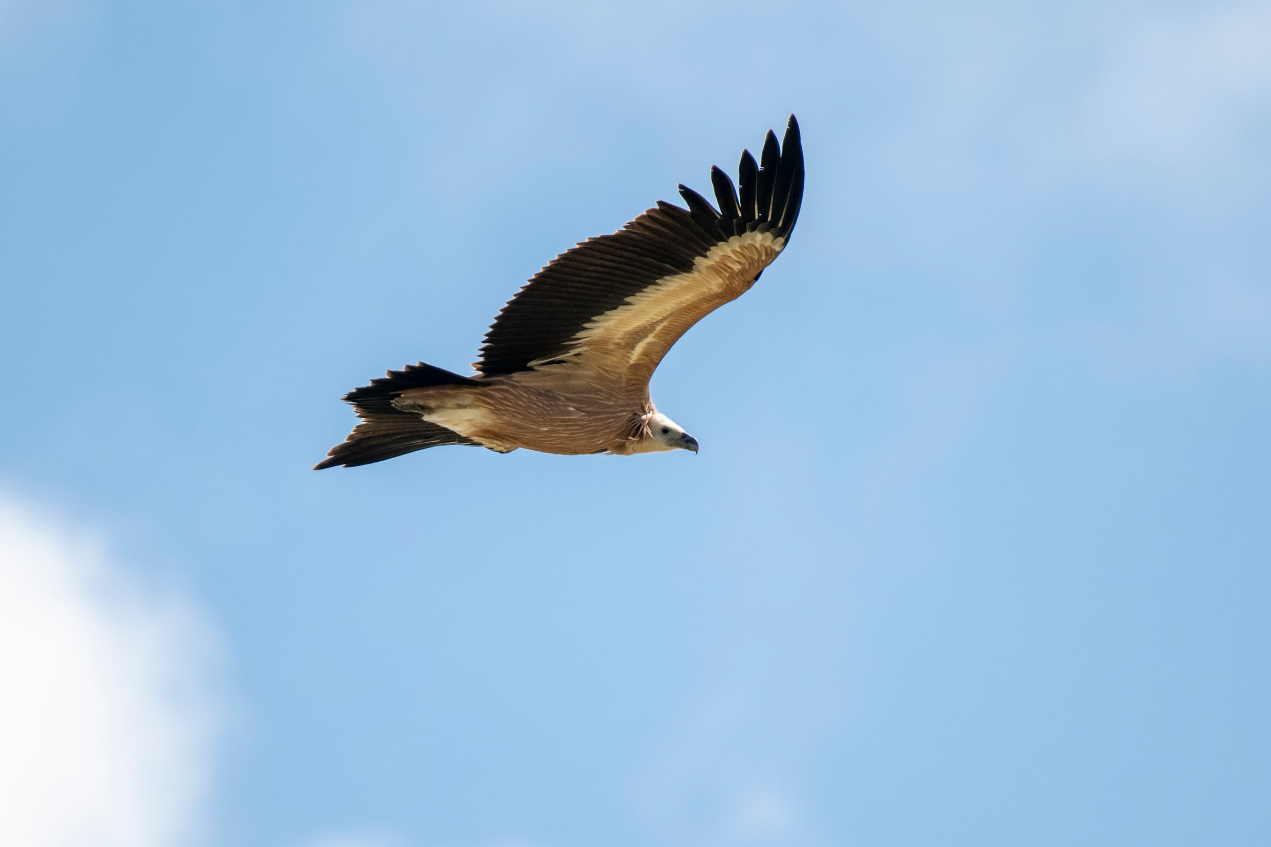 Природа Дагестана, сентябрь 2024. Foto-Zuev фотография как искусство