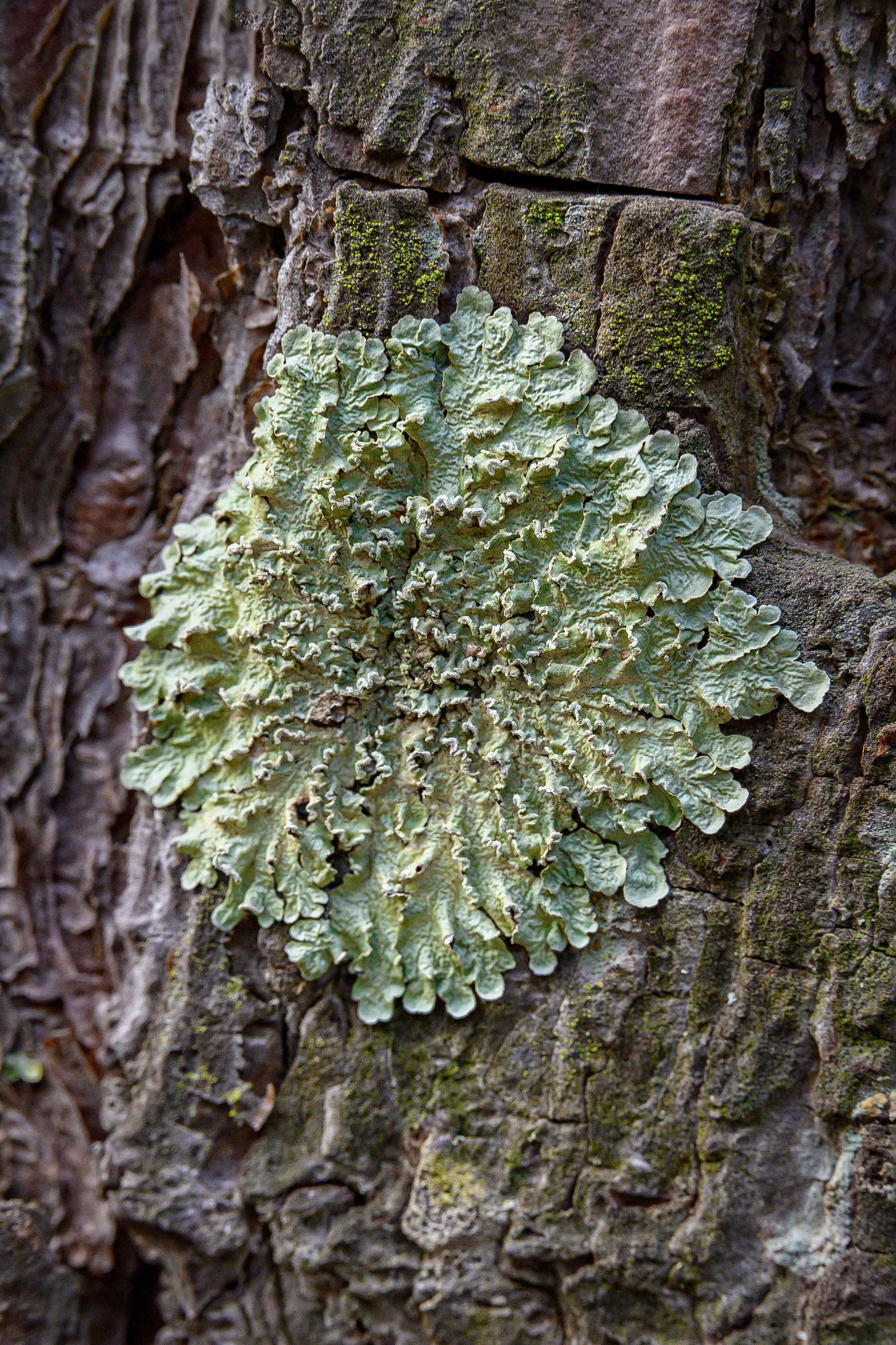 Осень. FotoGraf