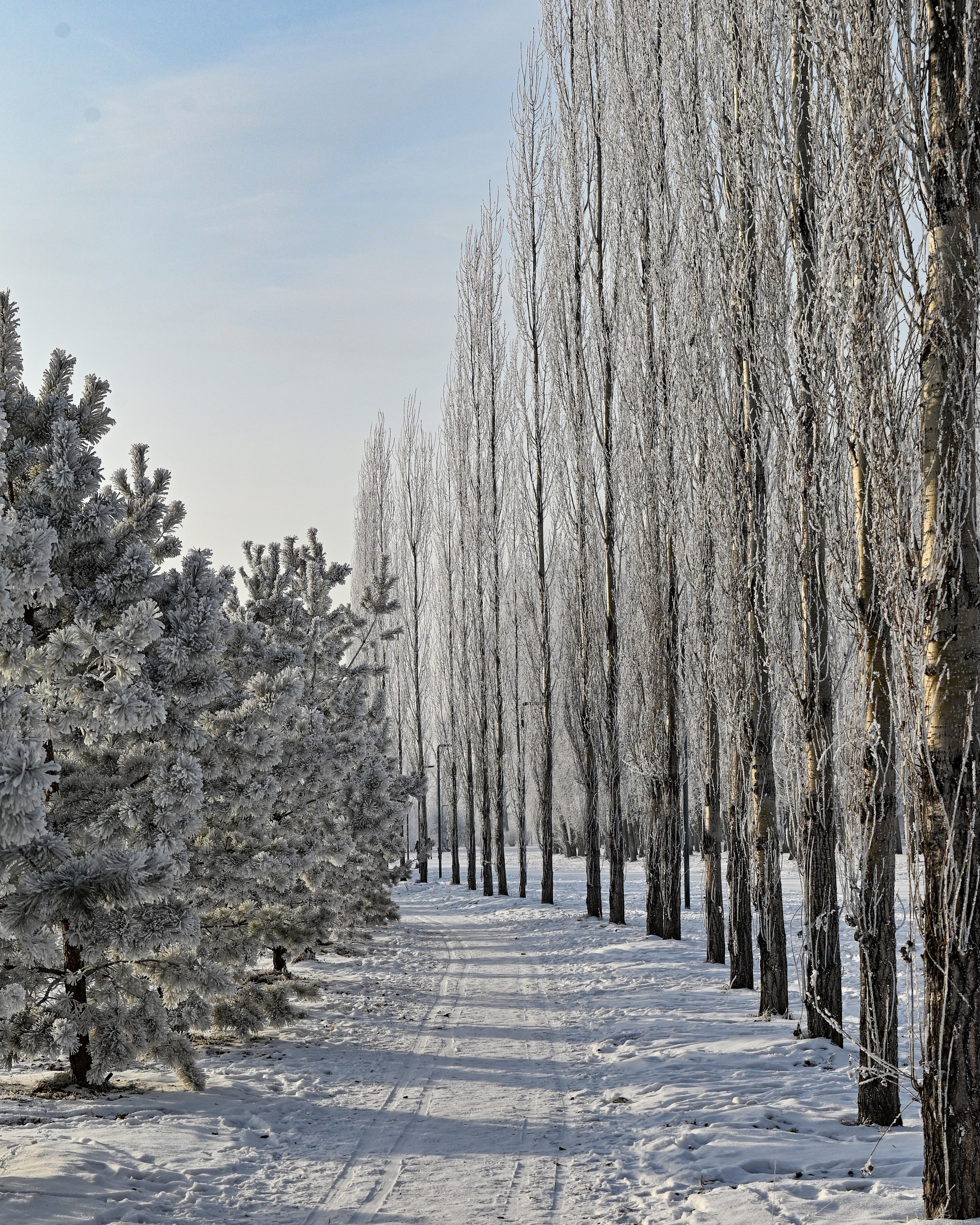 Сибирская зима прекрасна!. FotoGraf