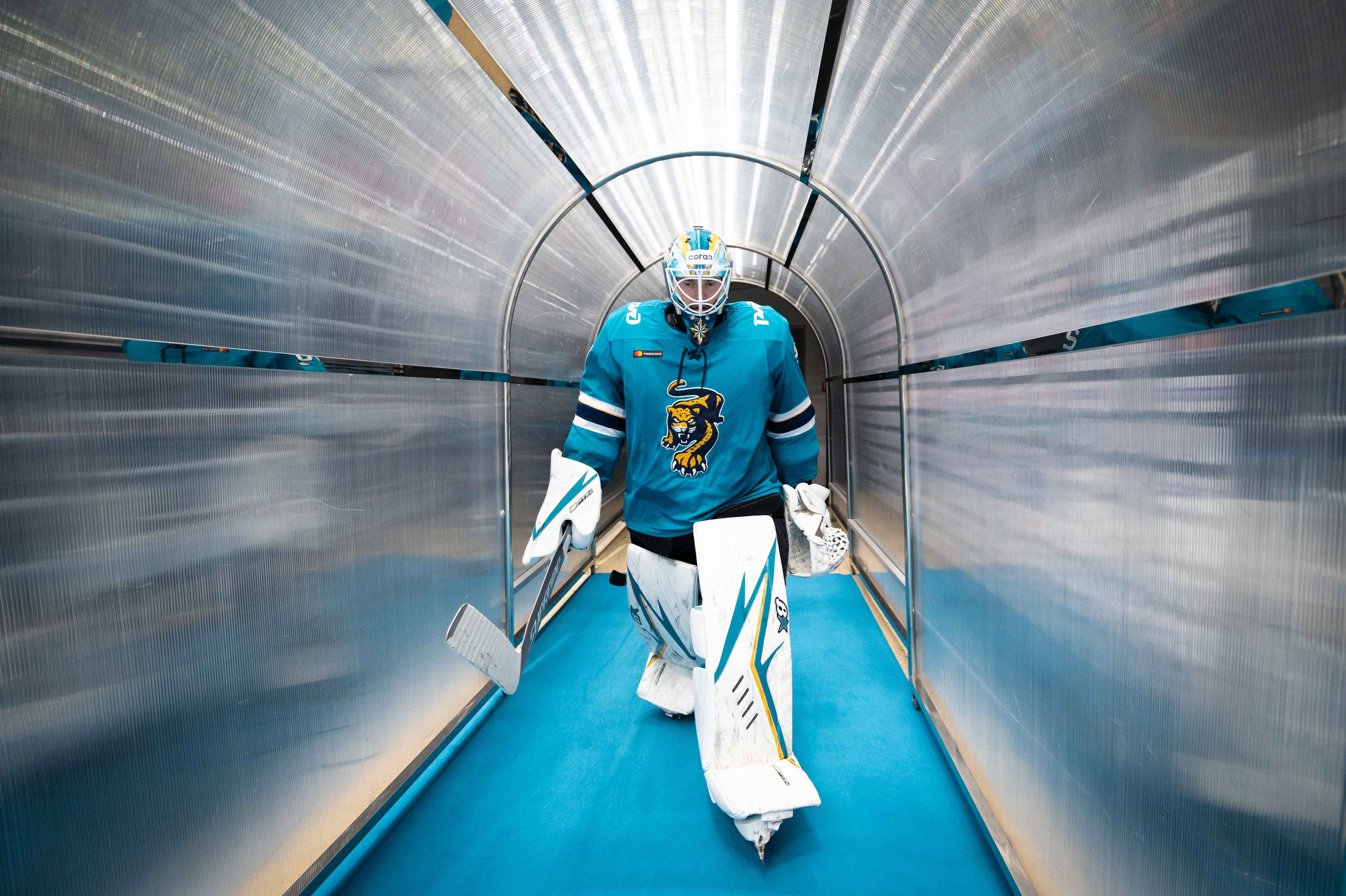 Photographe de hockey à Reims et Paris. Репортажный фотограф во Франции. Париж, Реймс