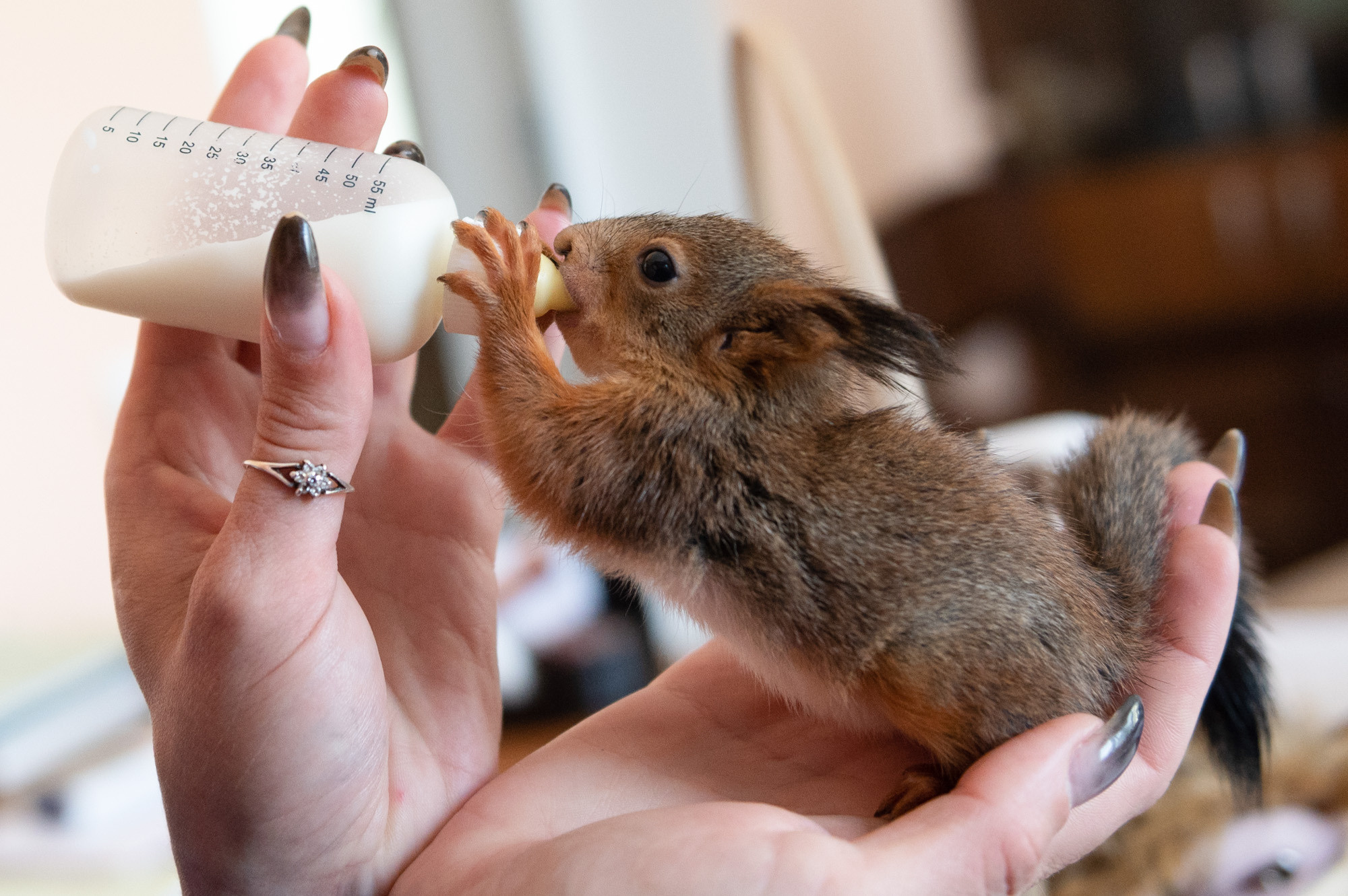Photographe de reportage à Reims et Paris. Photographe à Reims