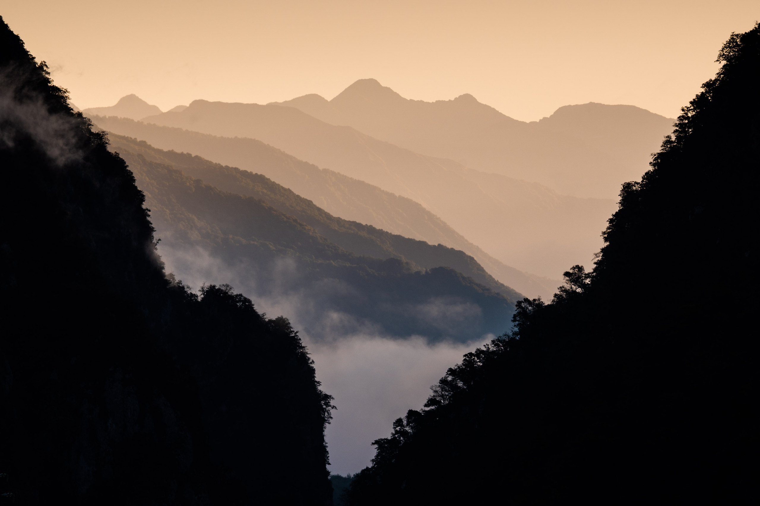 Photographe de reportage à Reims et Paris. Photographe à Reims