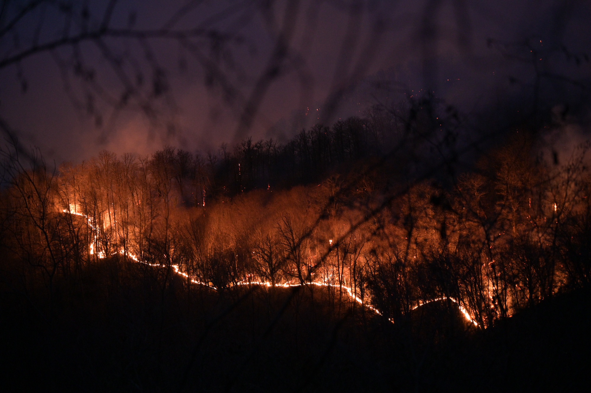 Photographe de reportage à Reims et Paris. Photographe à Reims