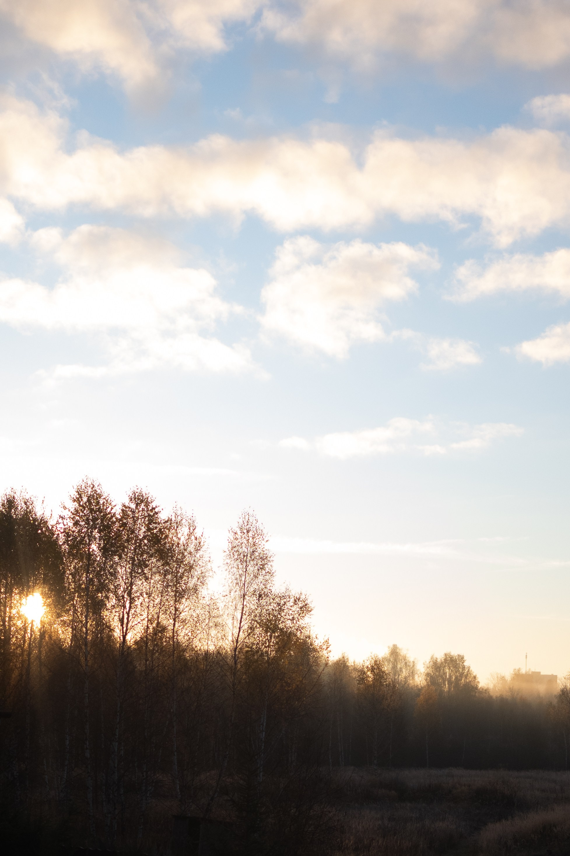 Йога-ретрит. Семейный фотограф г. Москва