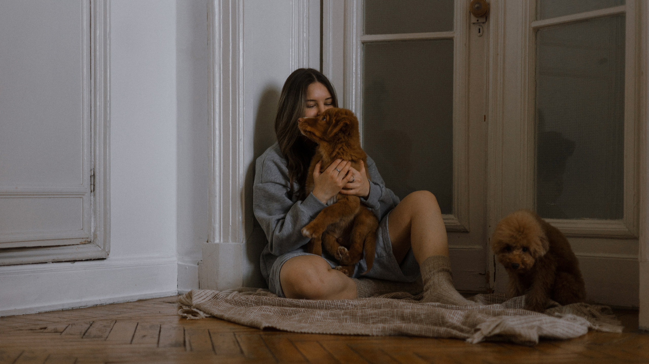 Маша, Одди и Нэвил. Фотограф-анималист Богданова Полина