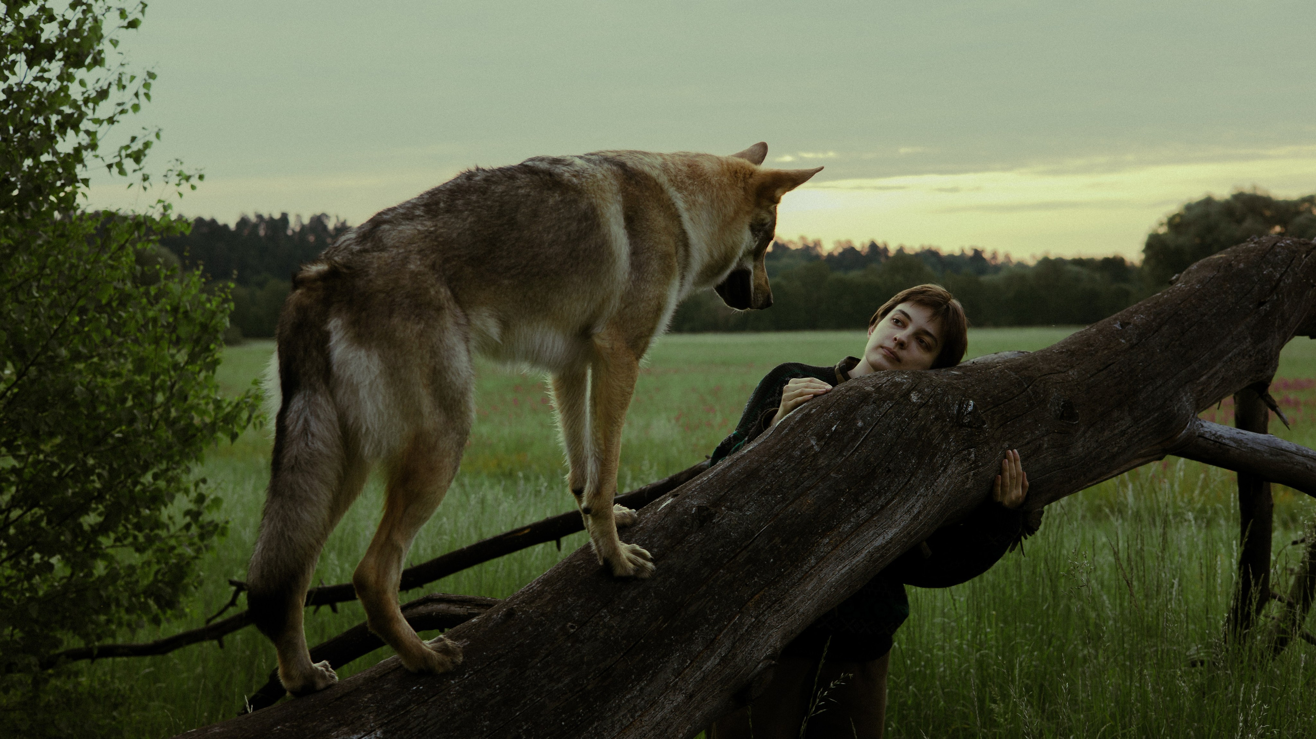 Маша и Дэрил. Фотограф-анималист Богданова Полина