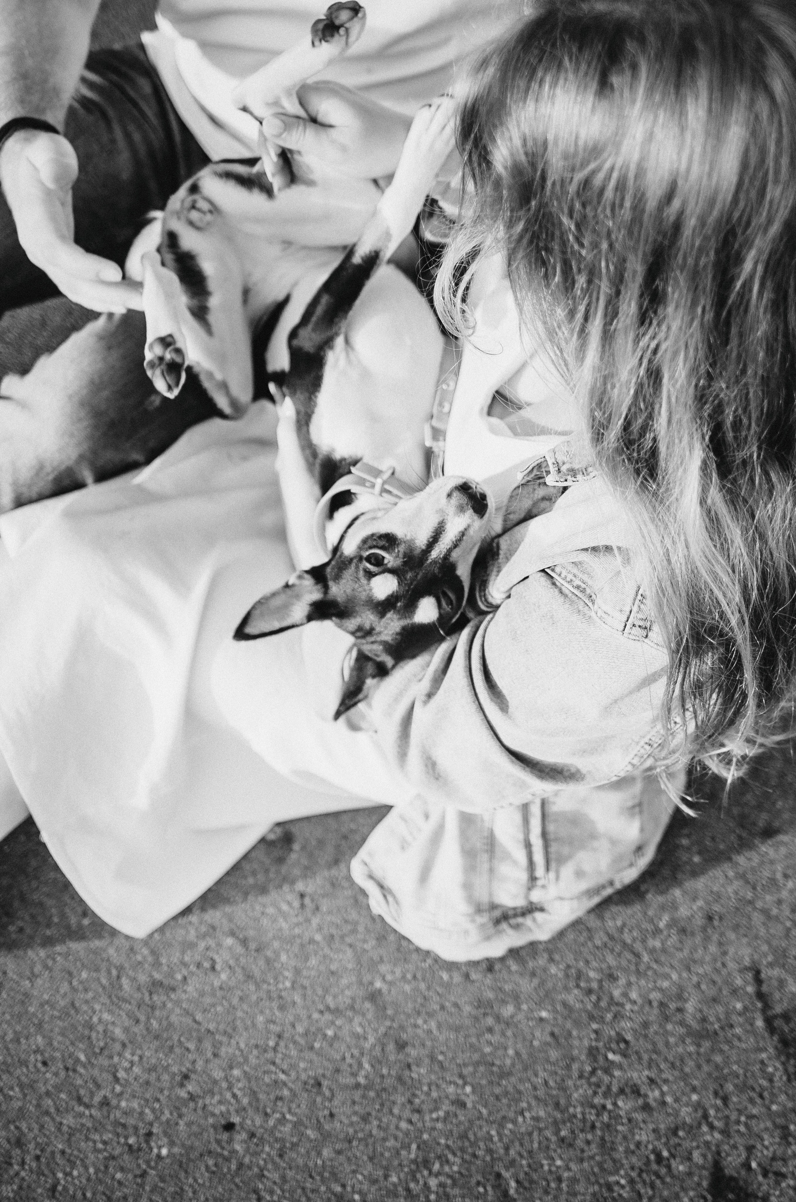 Лена, Никита и Эсма. Фотограф-анималист Богданова Полина