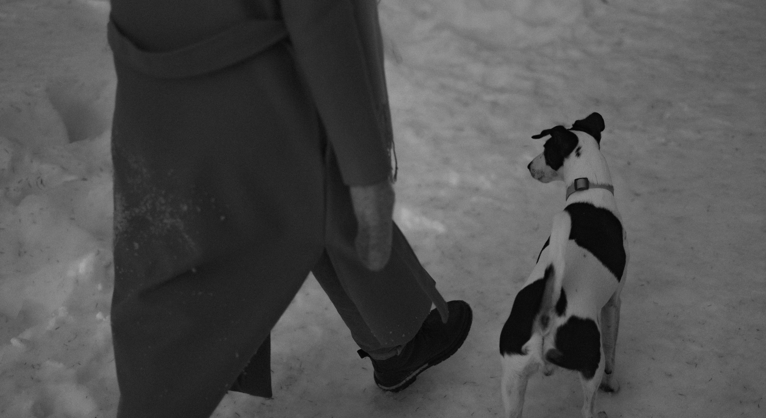 Ольга и Сэм. Фотограф-анималист Богданова Полина