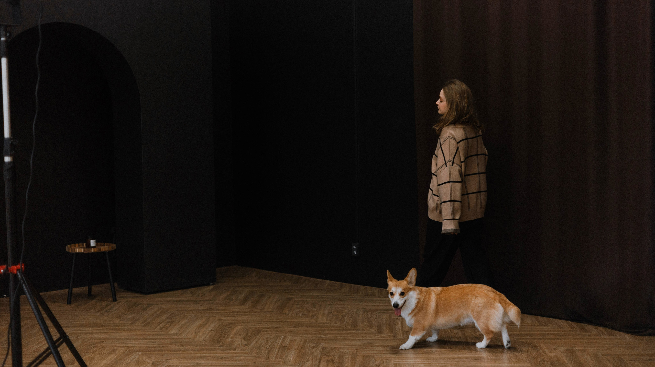 Настя и Мия. Фотограф-анималист Богданова Полина