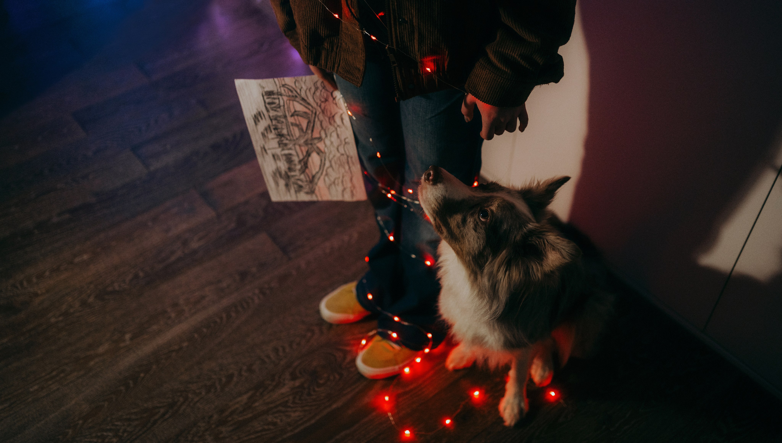 Аня и Дэймон. Фотограф-анималист Богданова Полина