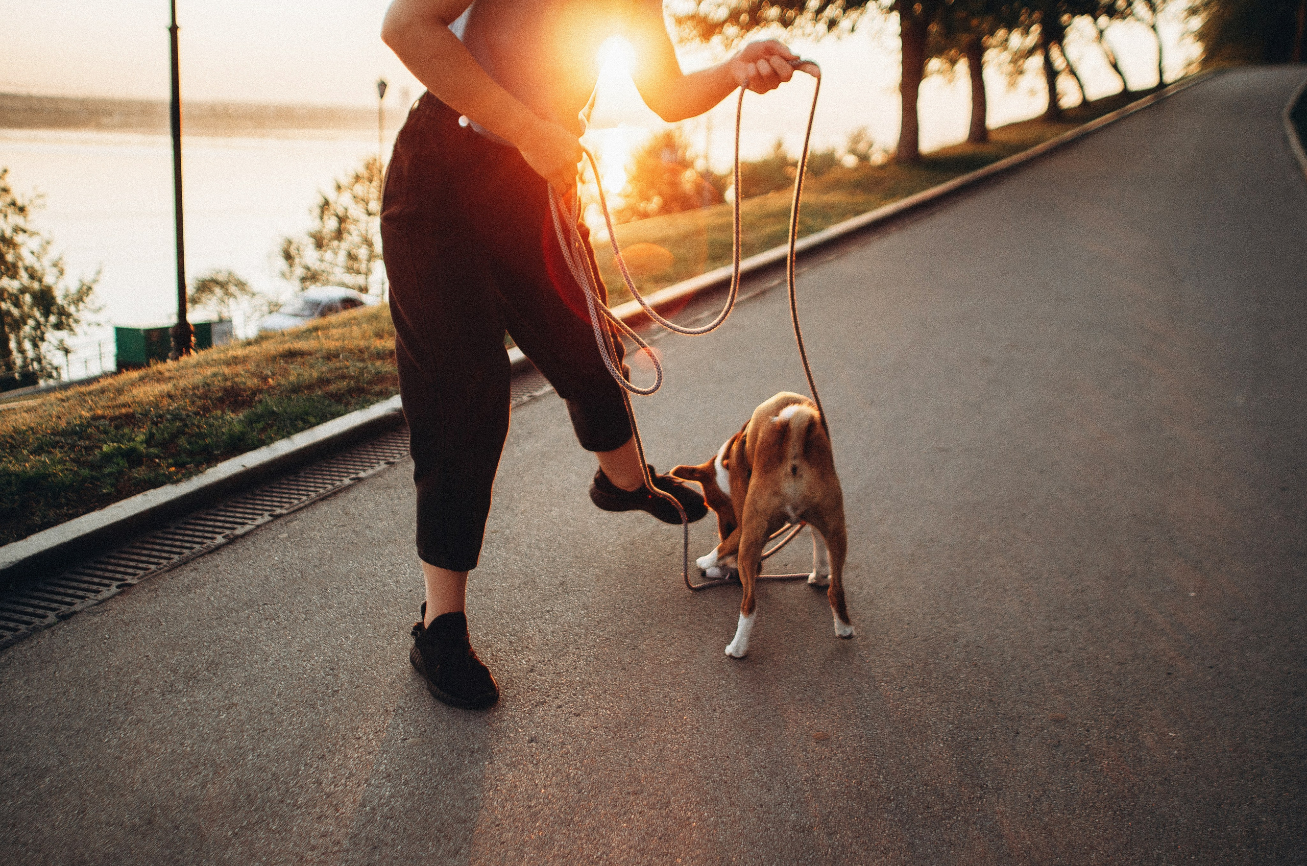 Снежана и Мэнни. Фотограф-анималист Богданова Полина