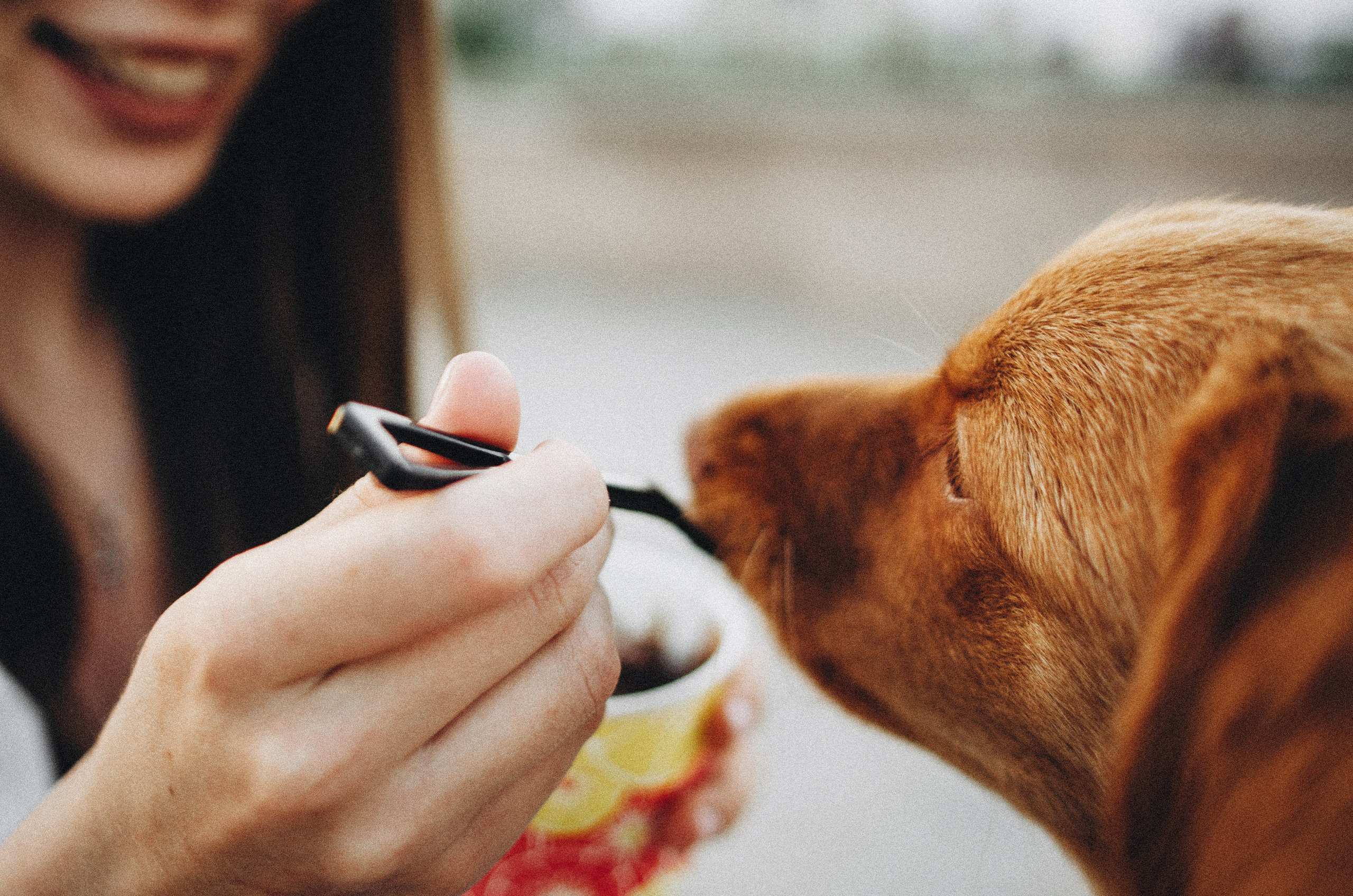 Вика и Хардин. Фотограф-анималист Богданова Полина