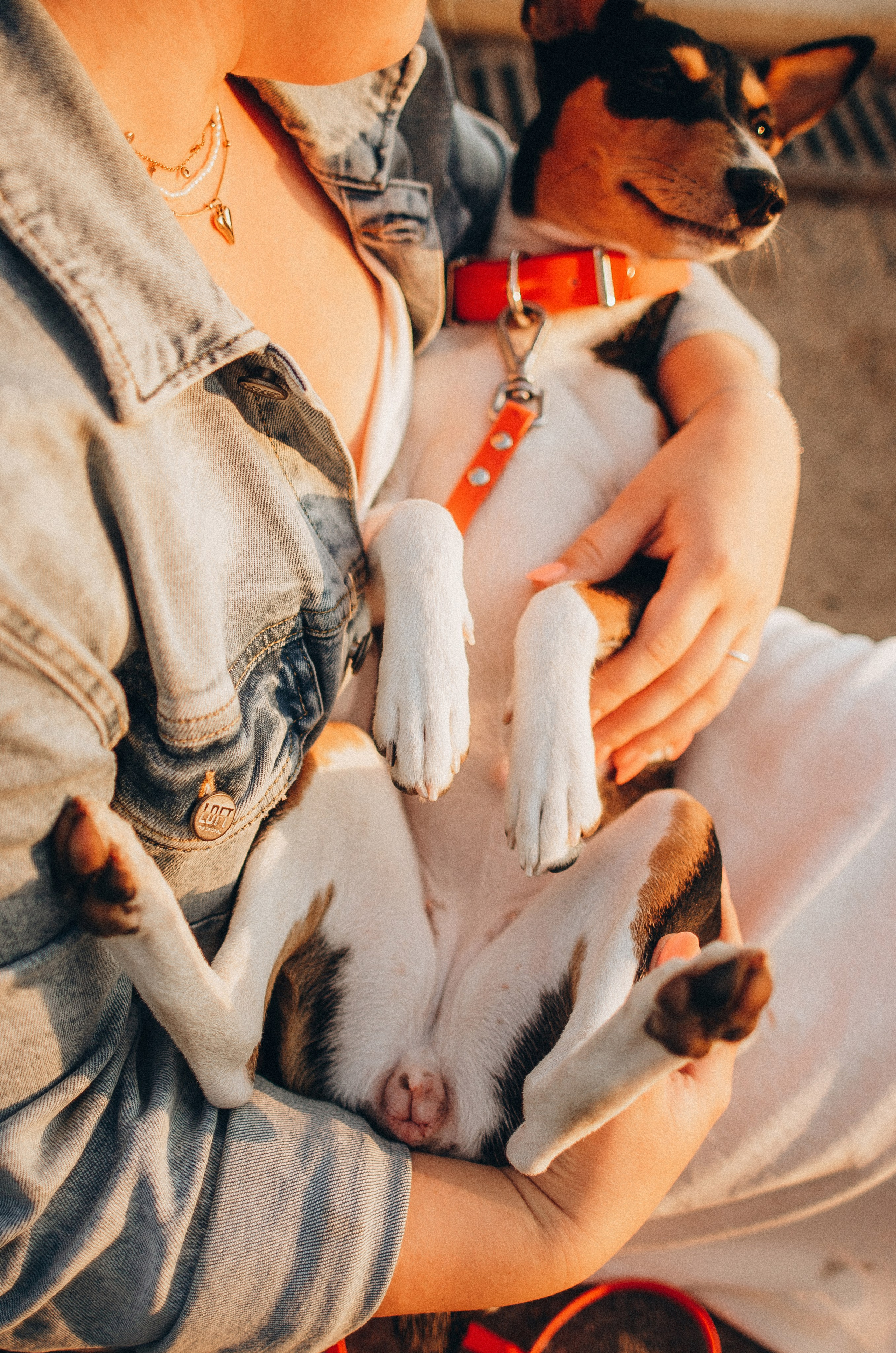 Лена, Никита и Эсма. Фотограф-анималист Богданова Полина