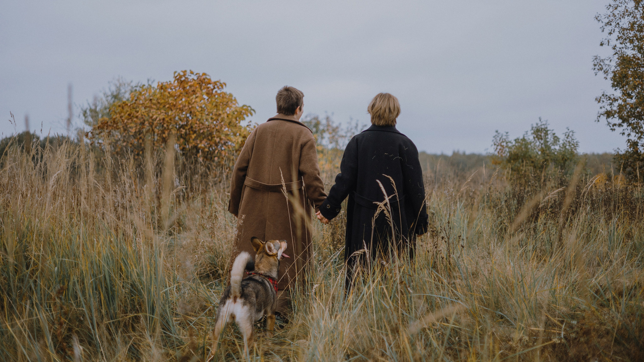 Маша, Катя, Астрид и Мася. Фотограф-анималист Богданова Полина