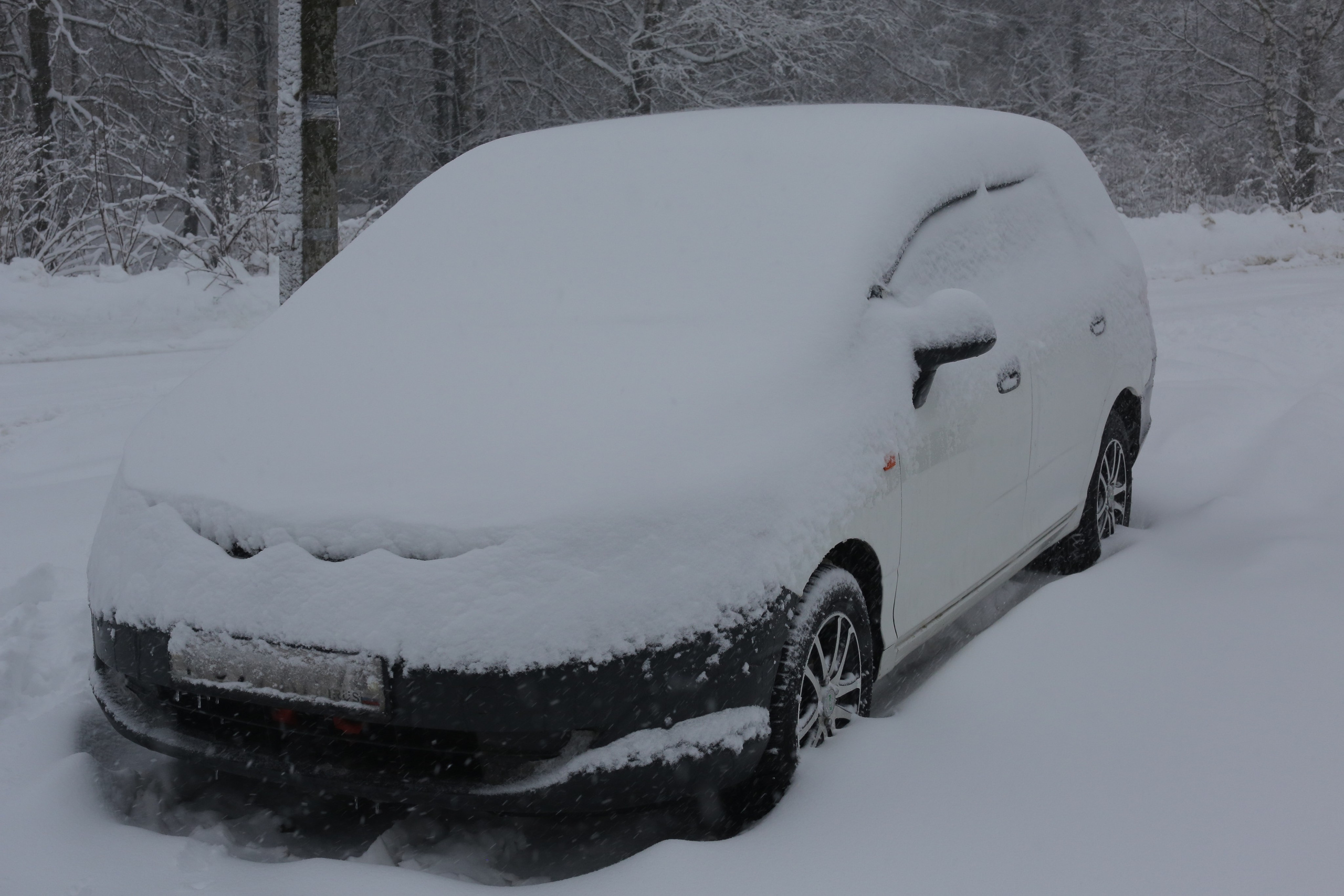Фото Московской области. Студия Максима Белослюдцева