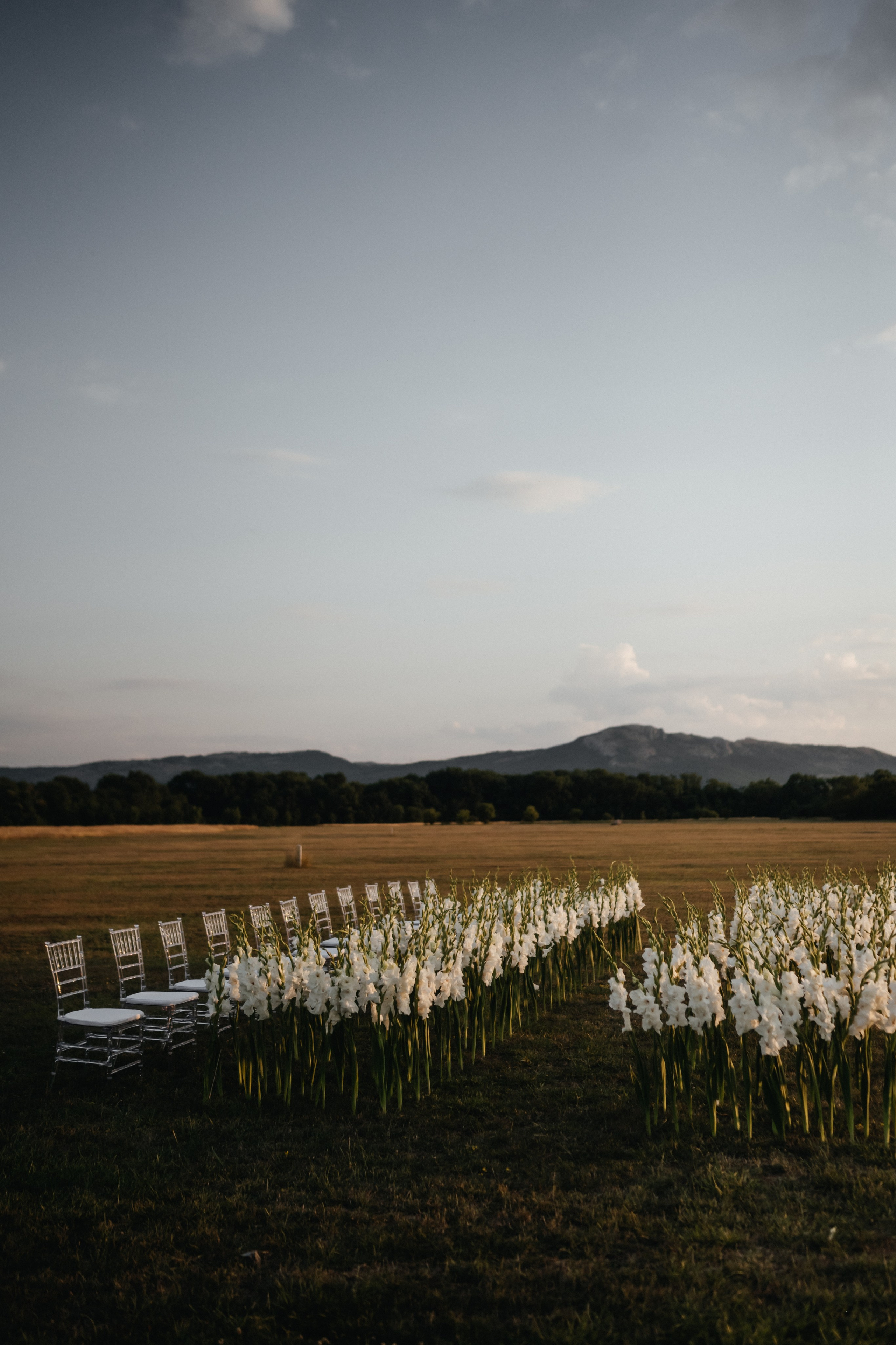 Свадебная фотосессия Москва Крым. Свадебный и семейный фотограф и видеограф, Крым, Москва, Санкт -Петербург