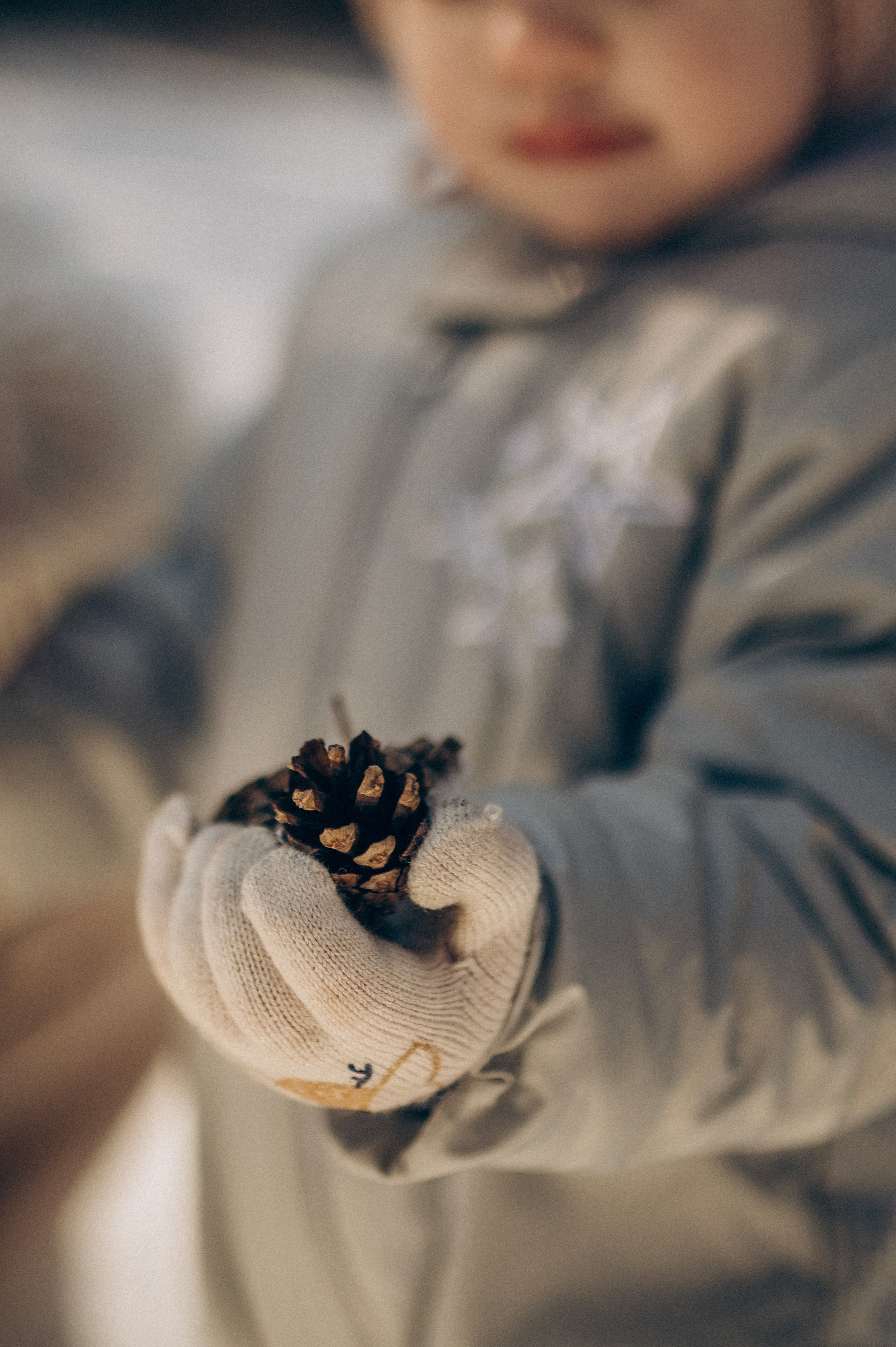 Зимняя фотосессия в лесу. Семейный фотограф в Домодедово и Москве Елена Пичугина