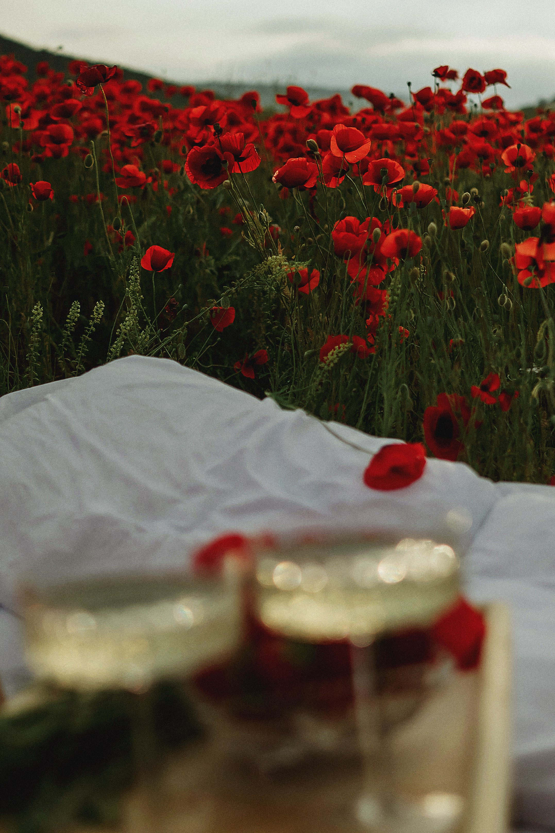 Разные виды съемок. Свадебный и семейный фотограф и видеограф, Крым, Москва, Санкт -Петербург