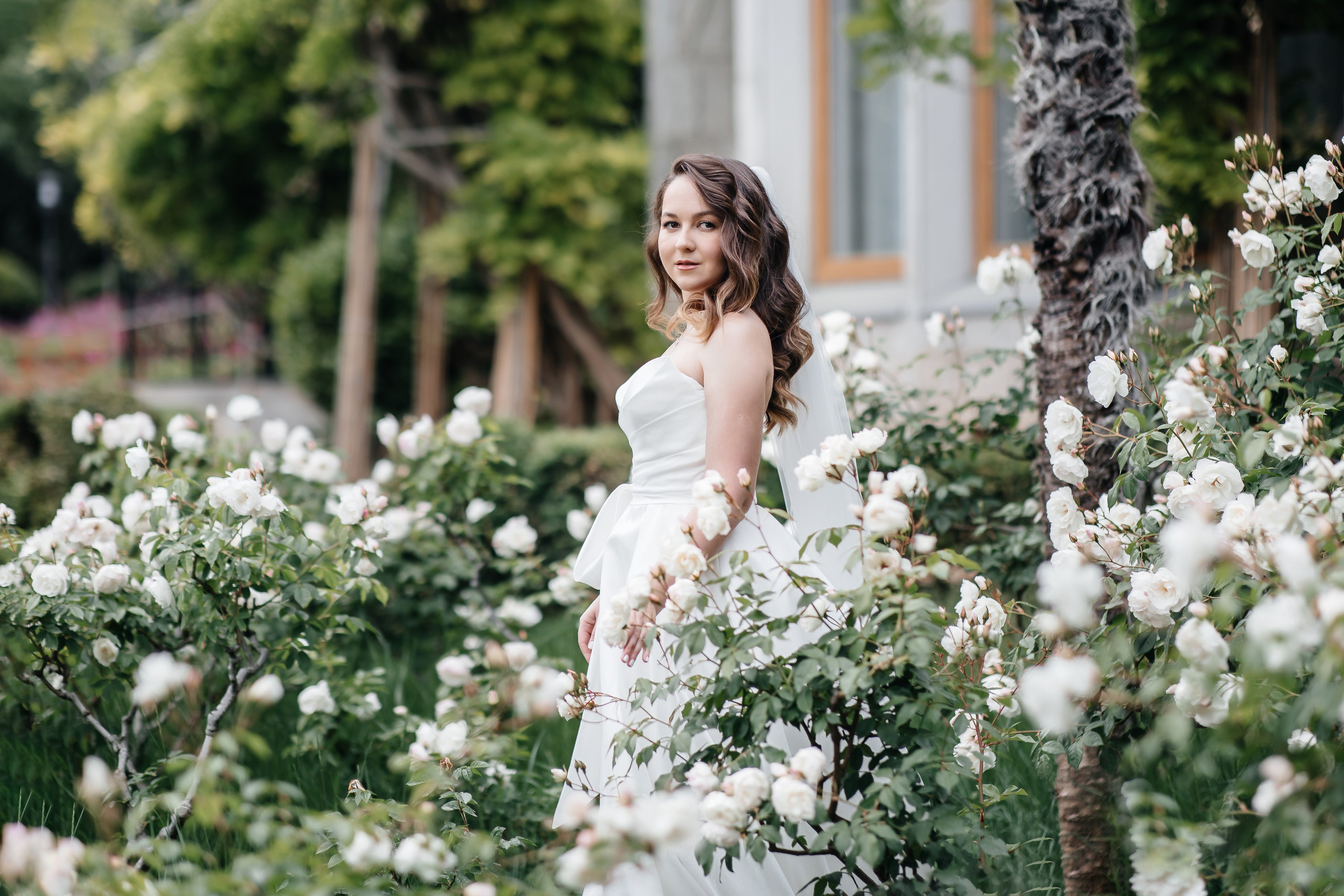 Парк Харакс, май в Крыму. Анонс свадьбы Ильи и Ксении. Свадебный фотограф в Крыму и Севастополе Ольга Баскакова