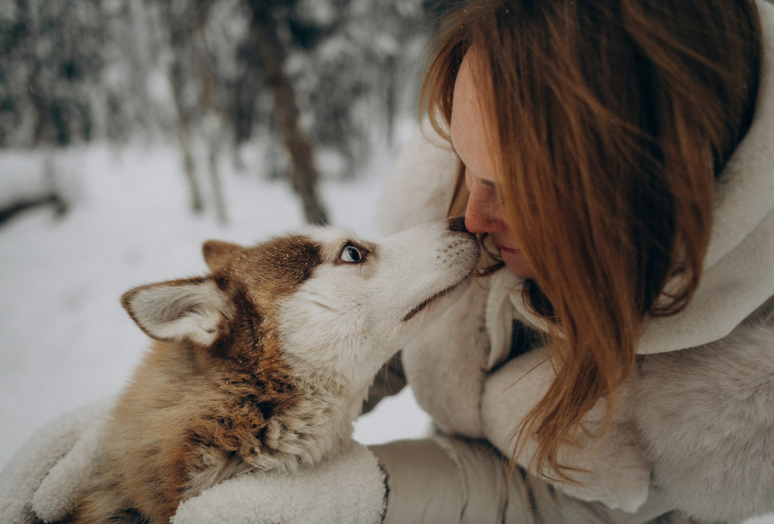Хаски-терапия. Фотограф Наталья Могилевская Мурманск Териберка Сейдозеро Рыбачий