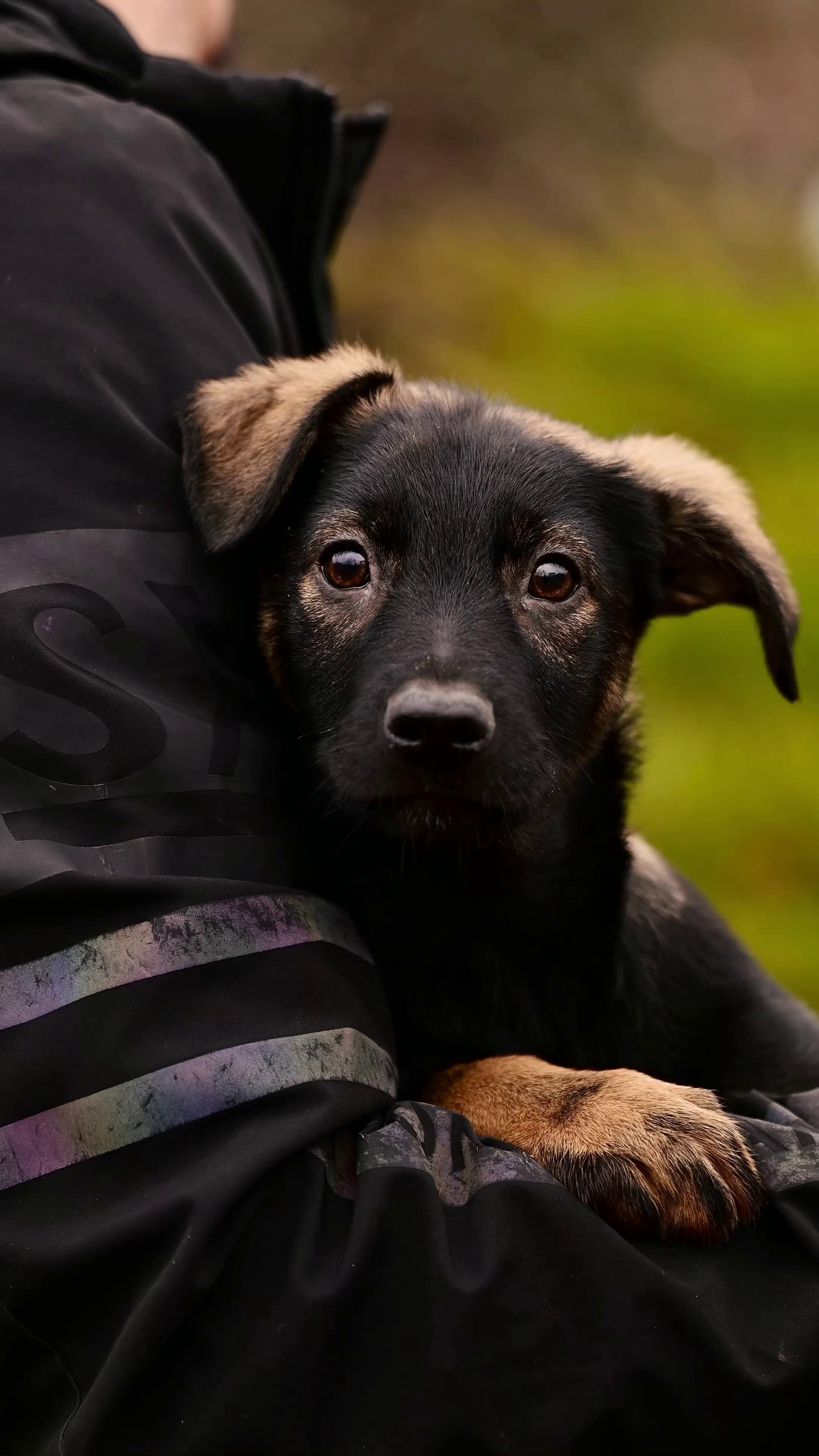 Съёмка для волонтёров (видео). Мила Астахова