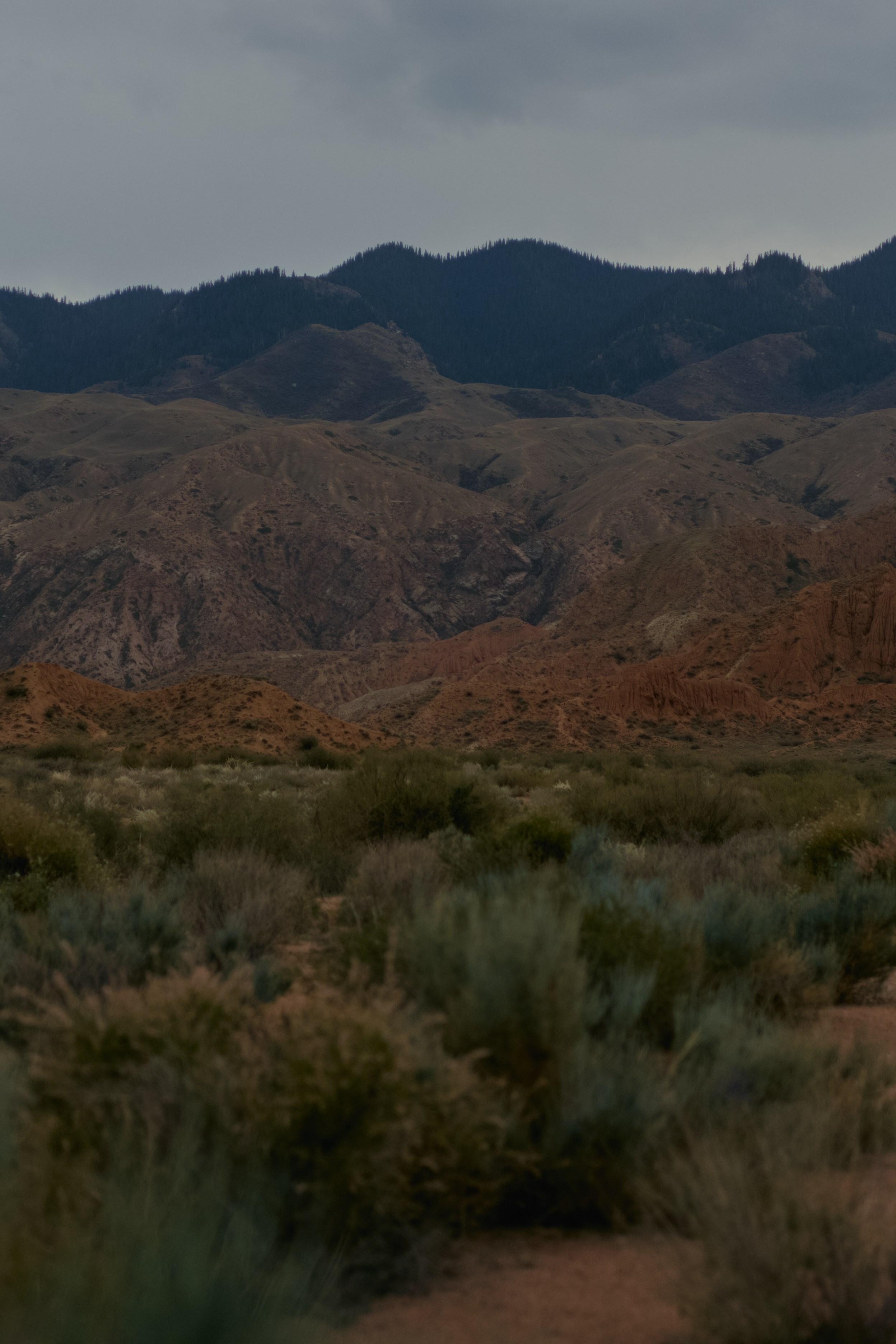 Кыргызтан. Профессиональный Фотограф во Владимире, в Москве и в Суздале — Полина Романычева