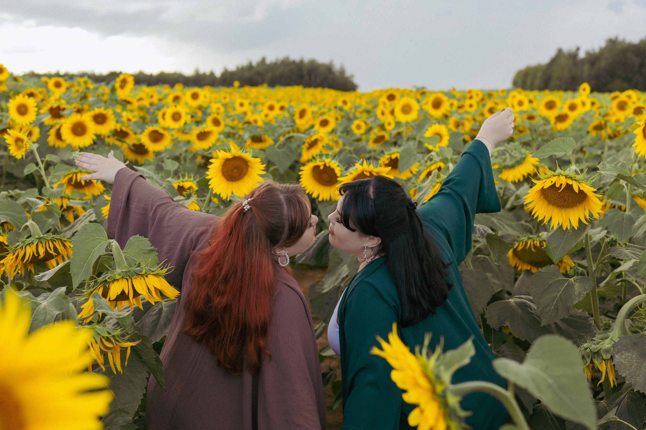 Подсолнухи. Фотограф в Нижнем Новгороде, Дзержинске Олеся Хозяева