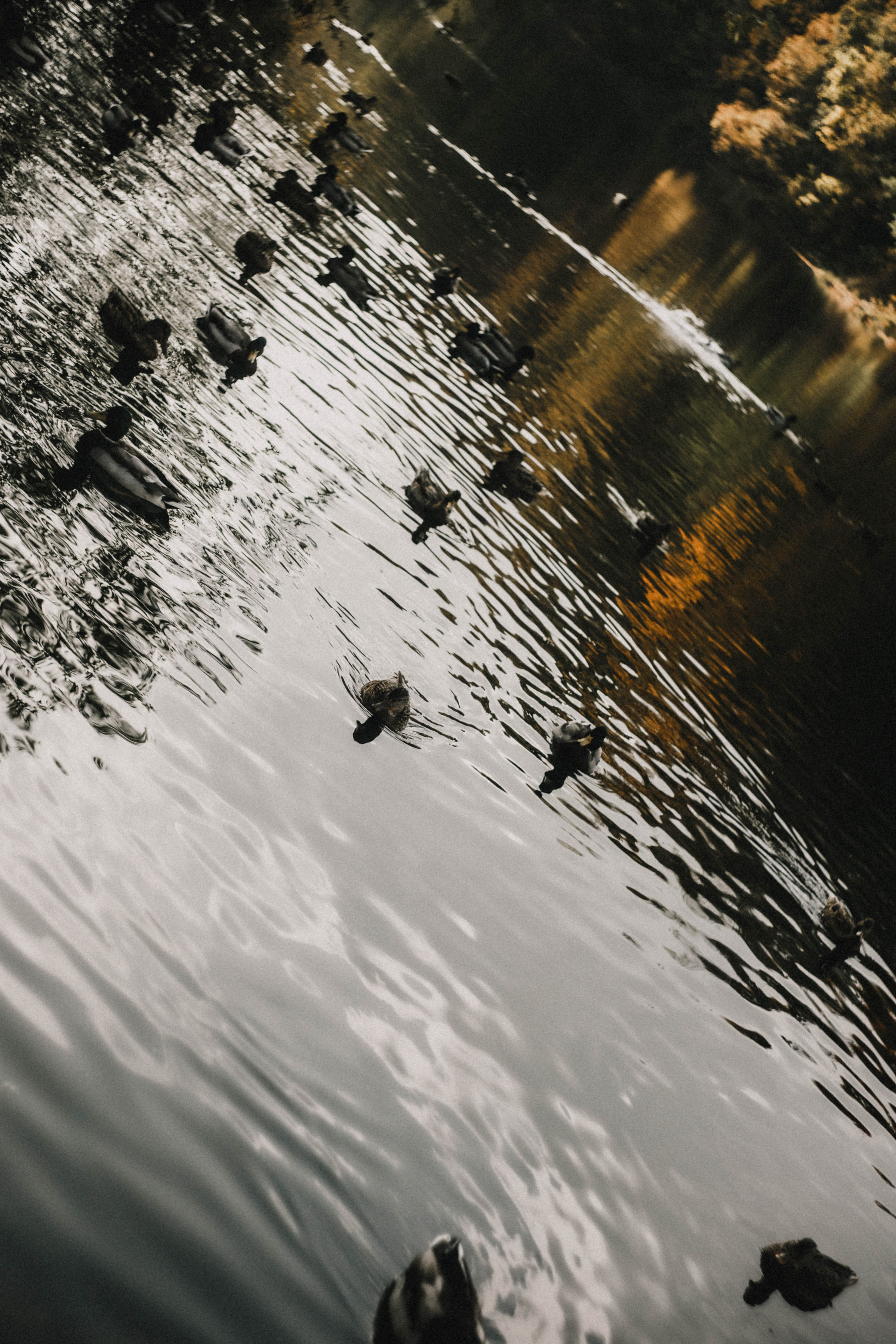 Анна на Щелчке. Осень. Фотограф в Нижнем Новгороде