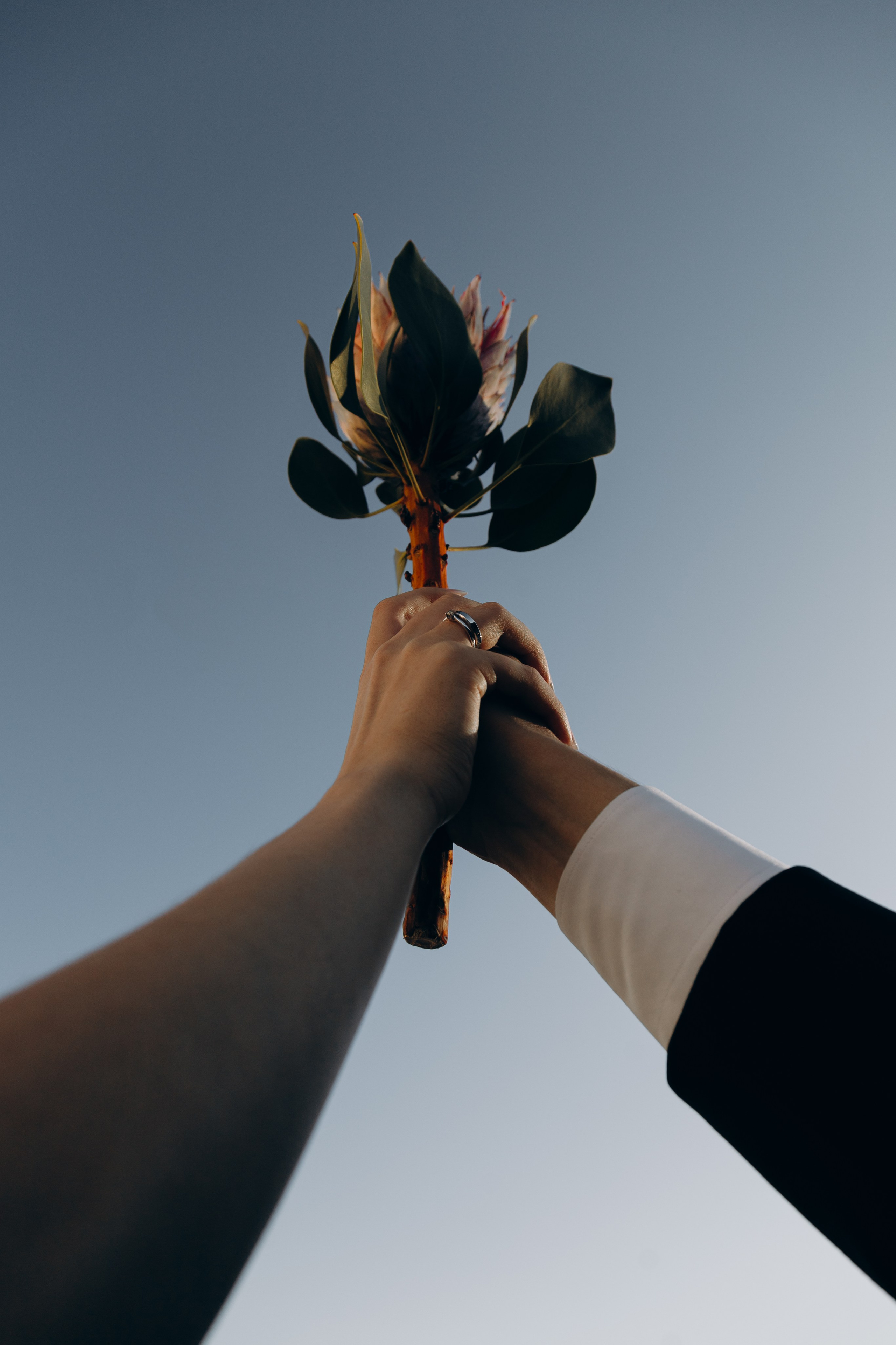 2 hours. Свадебный фотограф в Санкт-Петербурге и Москве Андрей Чернов