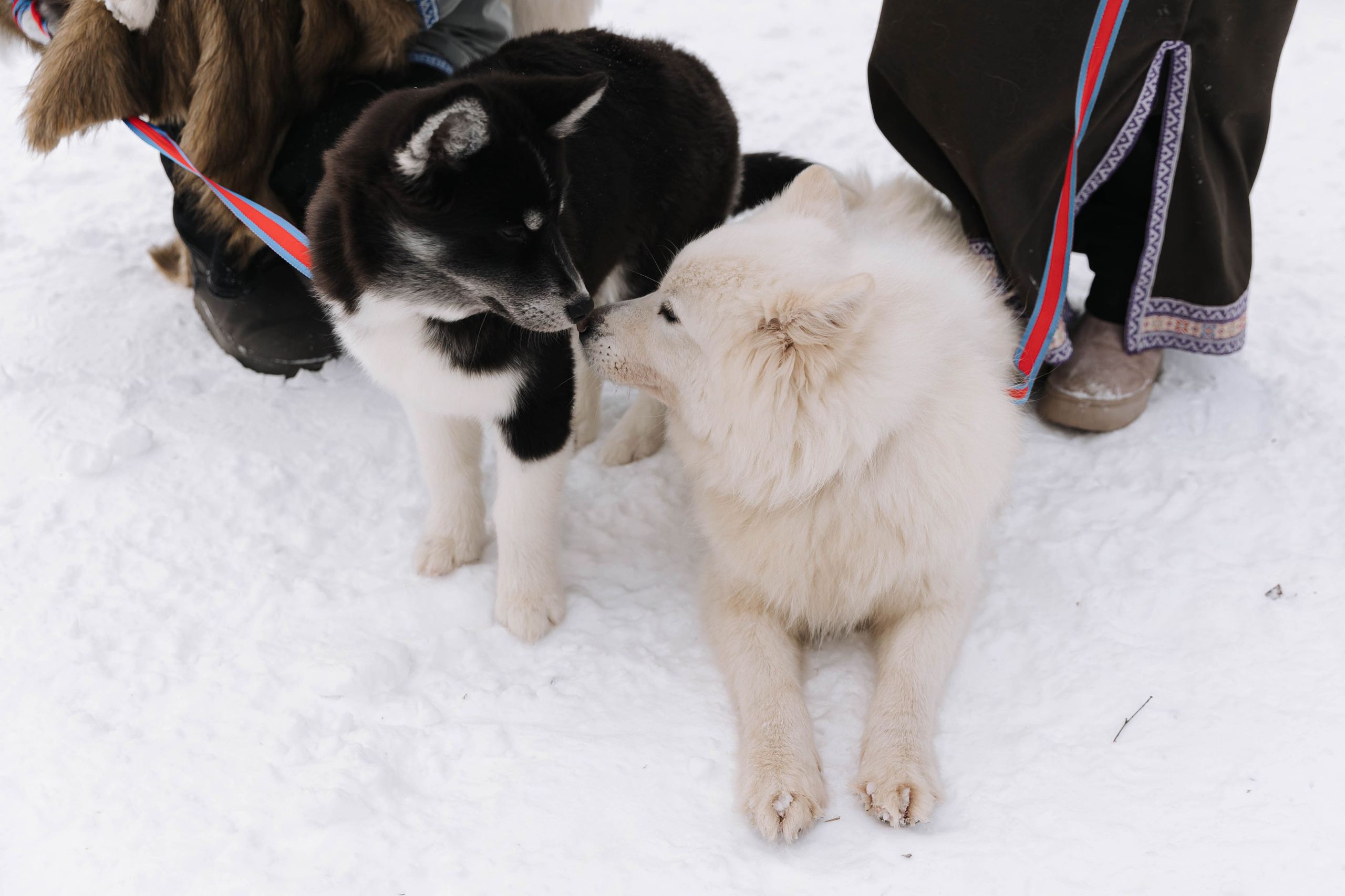 Виноградов. Э Т О М Ы