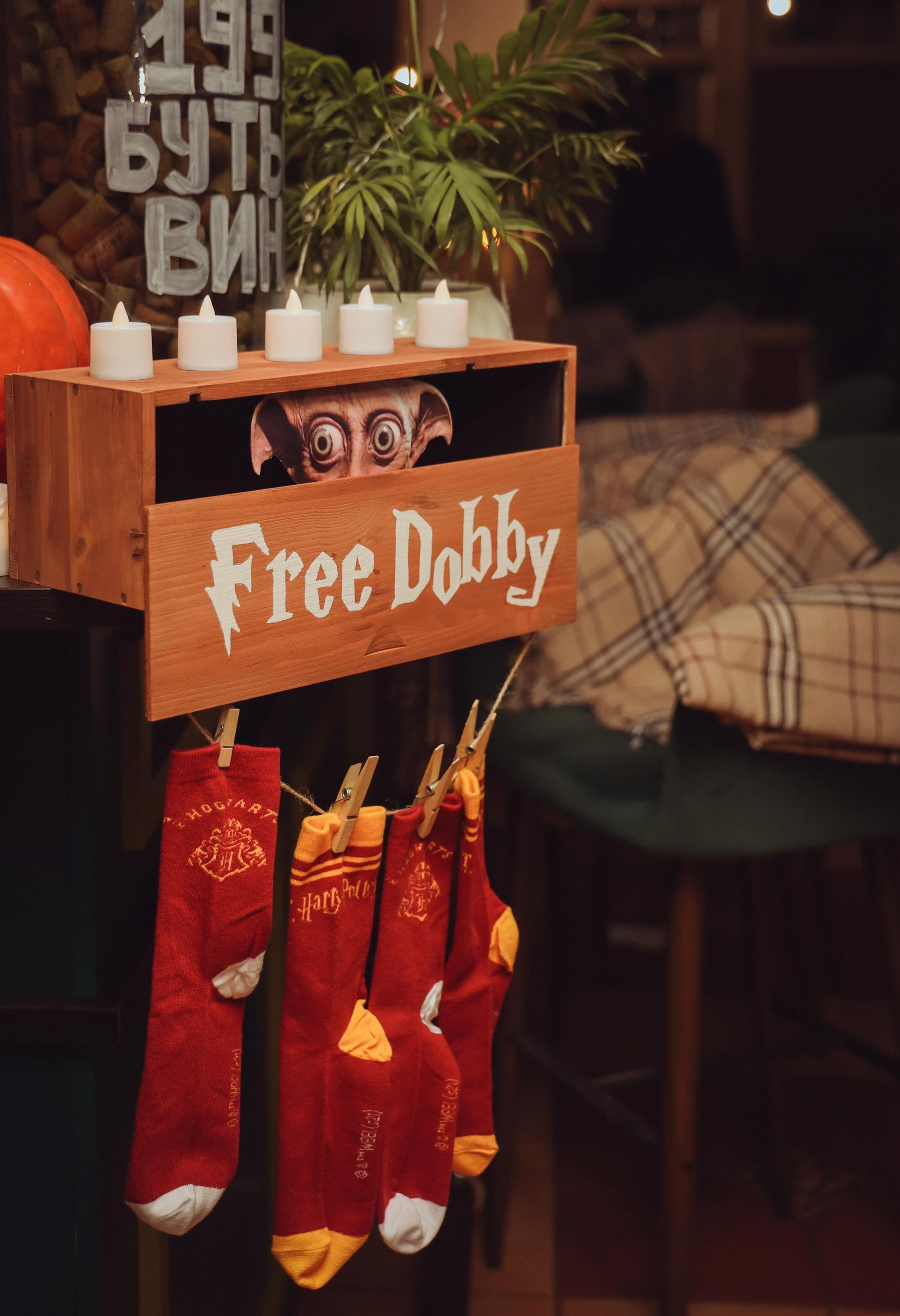 A Harry Potter party. Алина Малышева, свадебный и семейный фотограф Москва