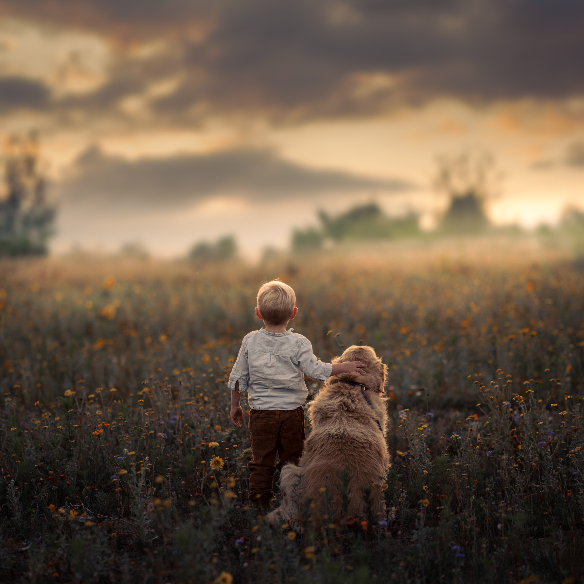 Iwona Podlasinska. OneSnap