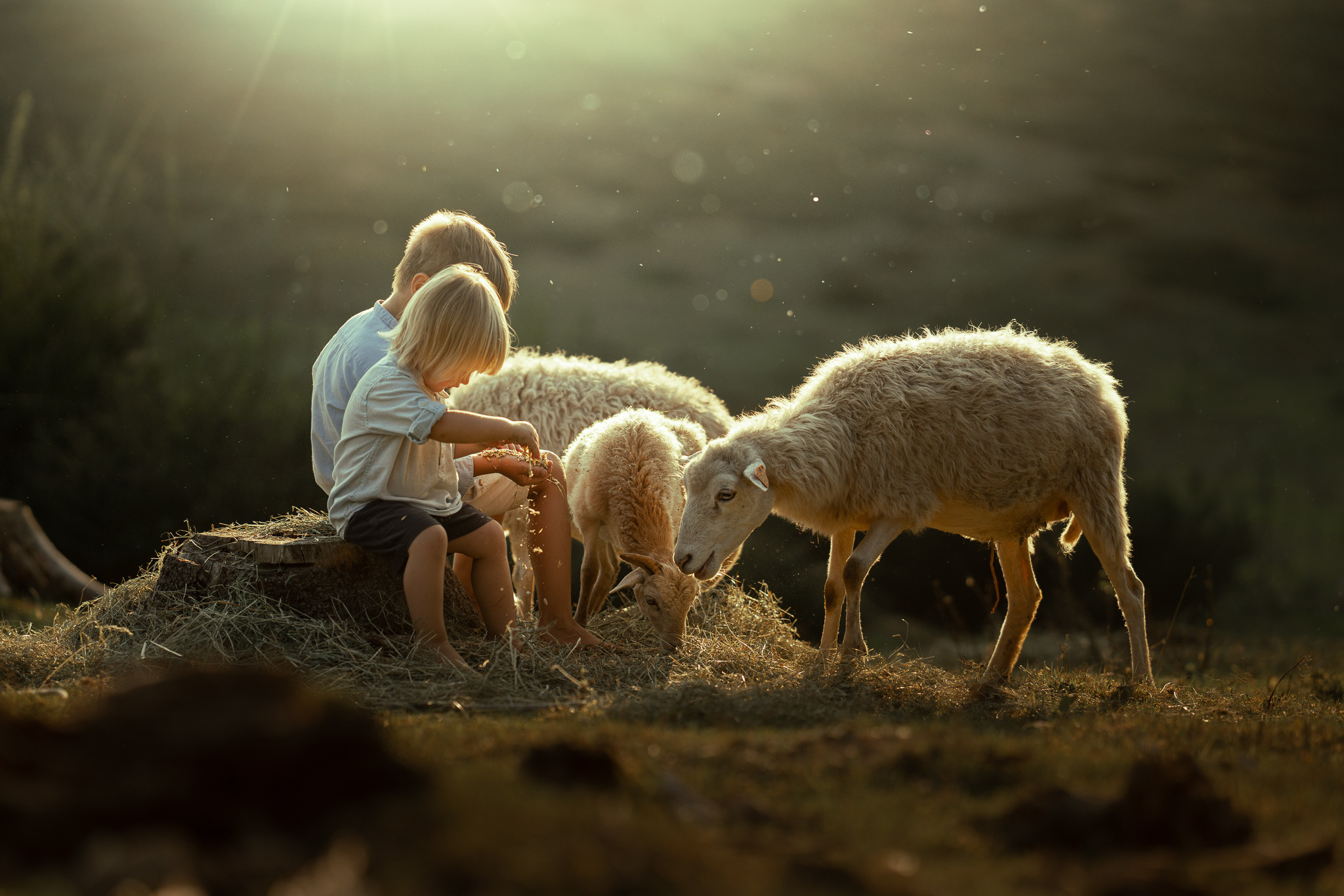 Iwona Podlasinska. OneSnap