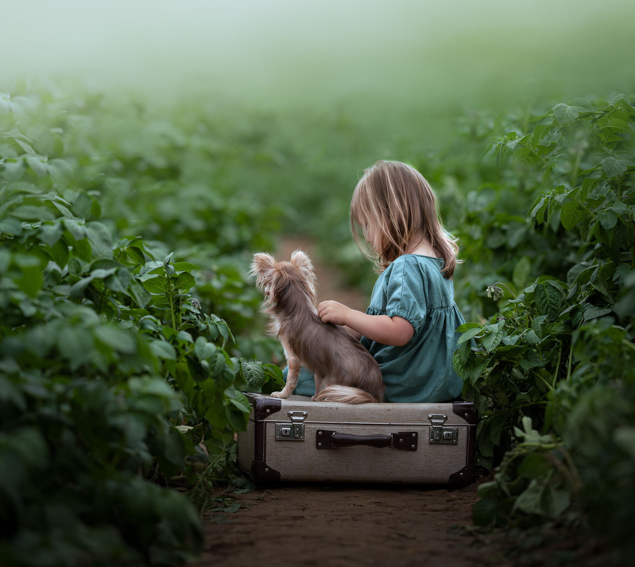 Iwona Podlasinska. OneSnap