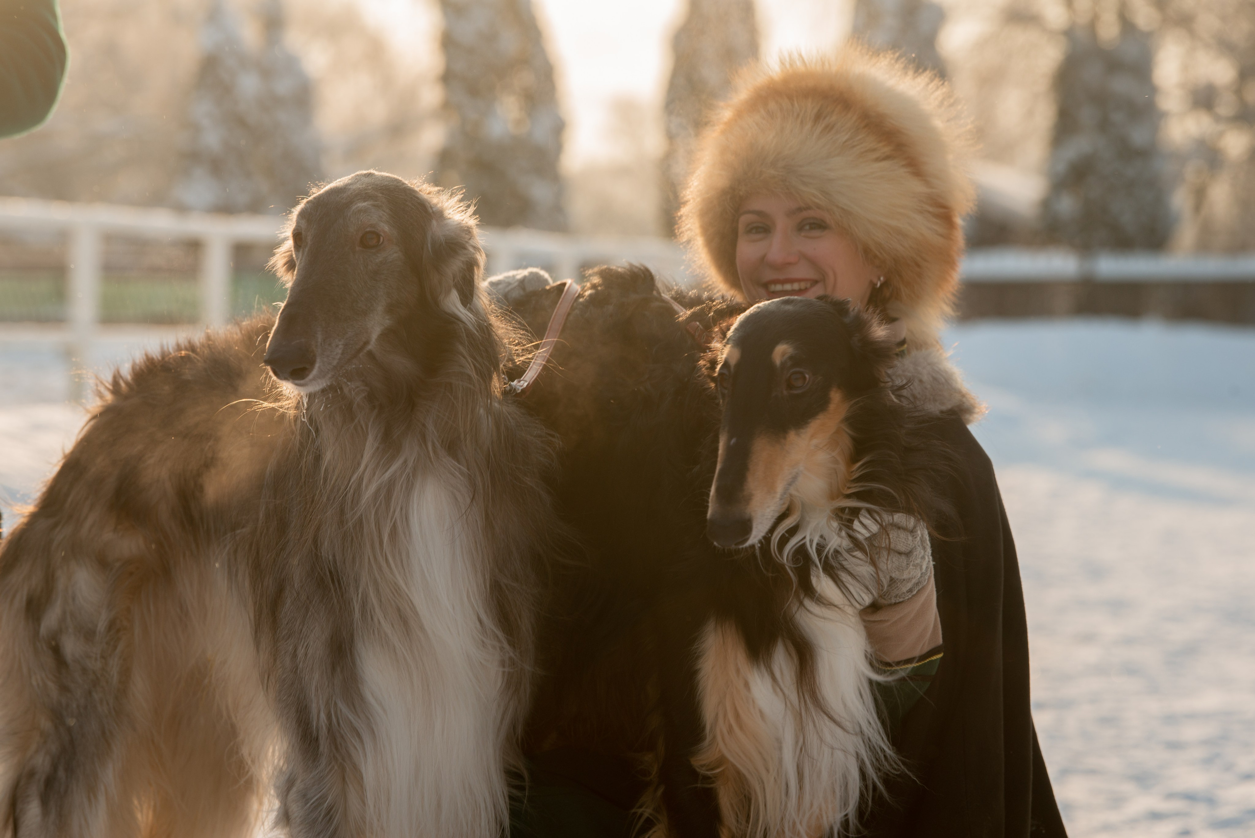 Псовая охота Аванпост. Конный фотограф в Саратове Юлия Иванова