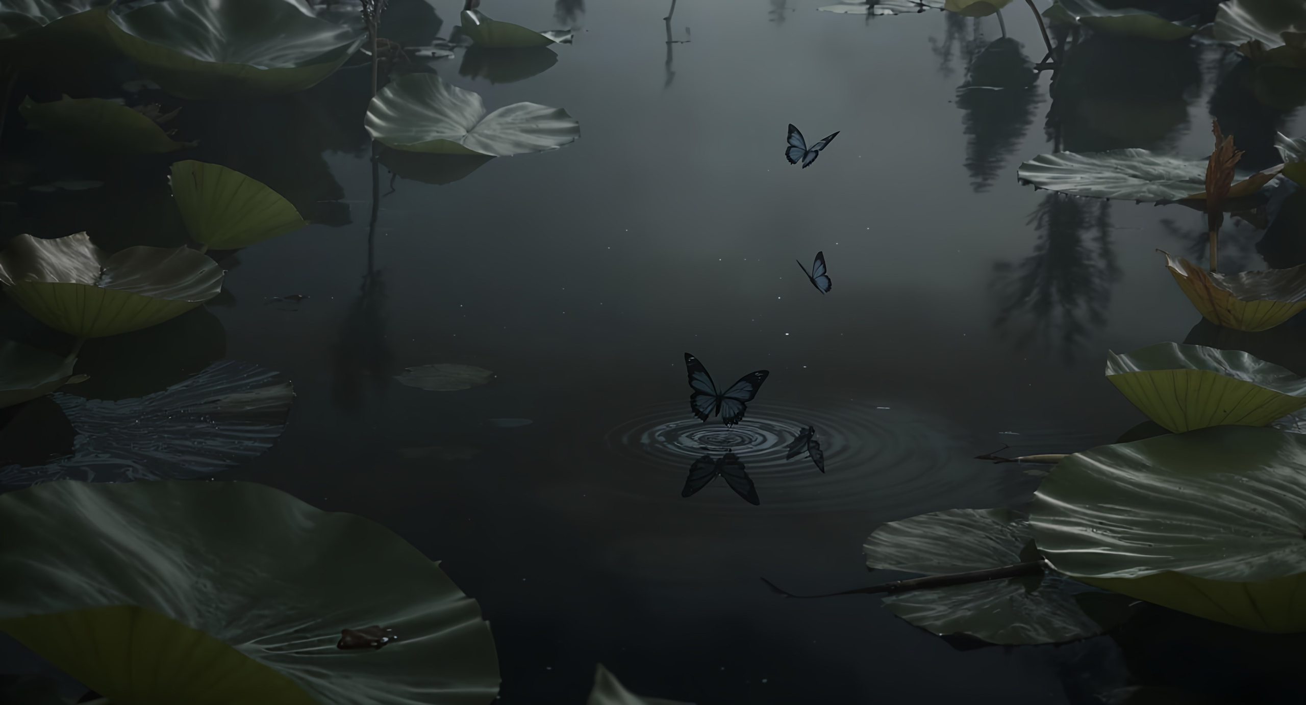 The pond. Elizabeth Marriott