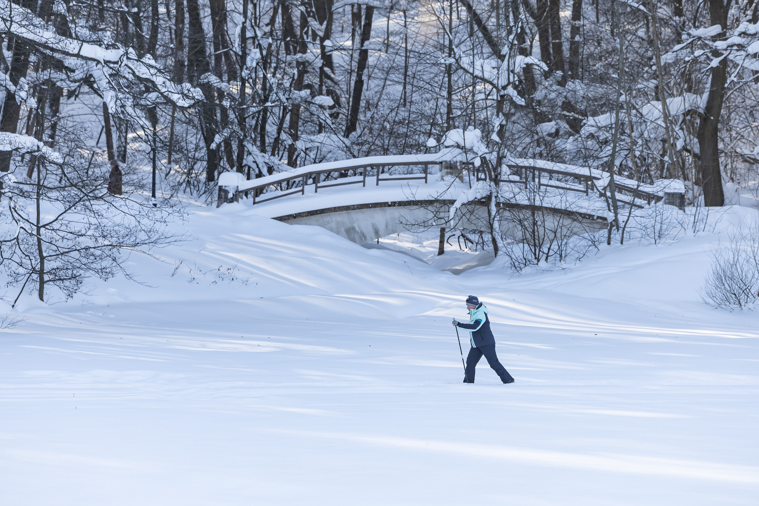 Природа. Фотограф Владимир Охрименко