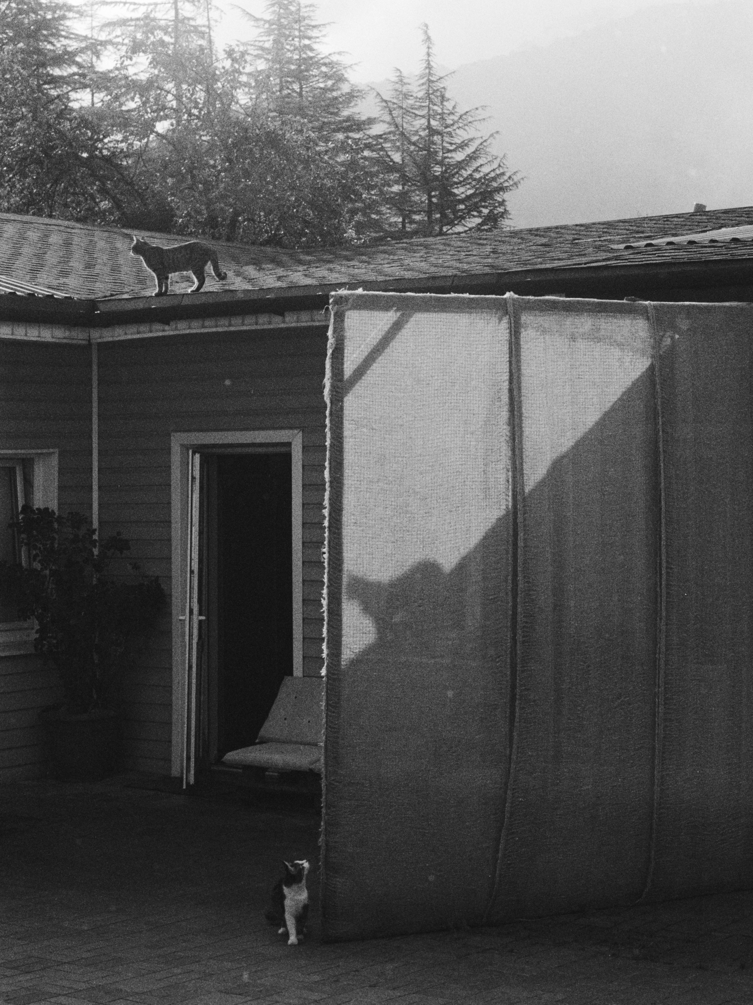 Жизнь. Игорь Гичка. Портрет с любовью