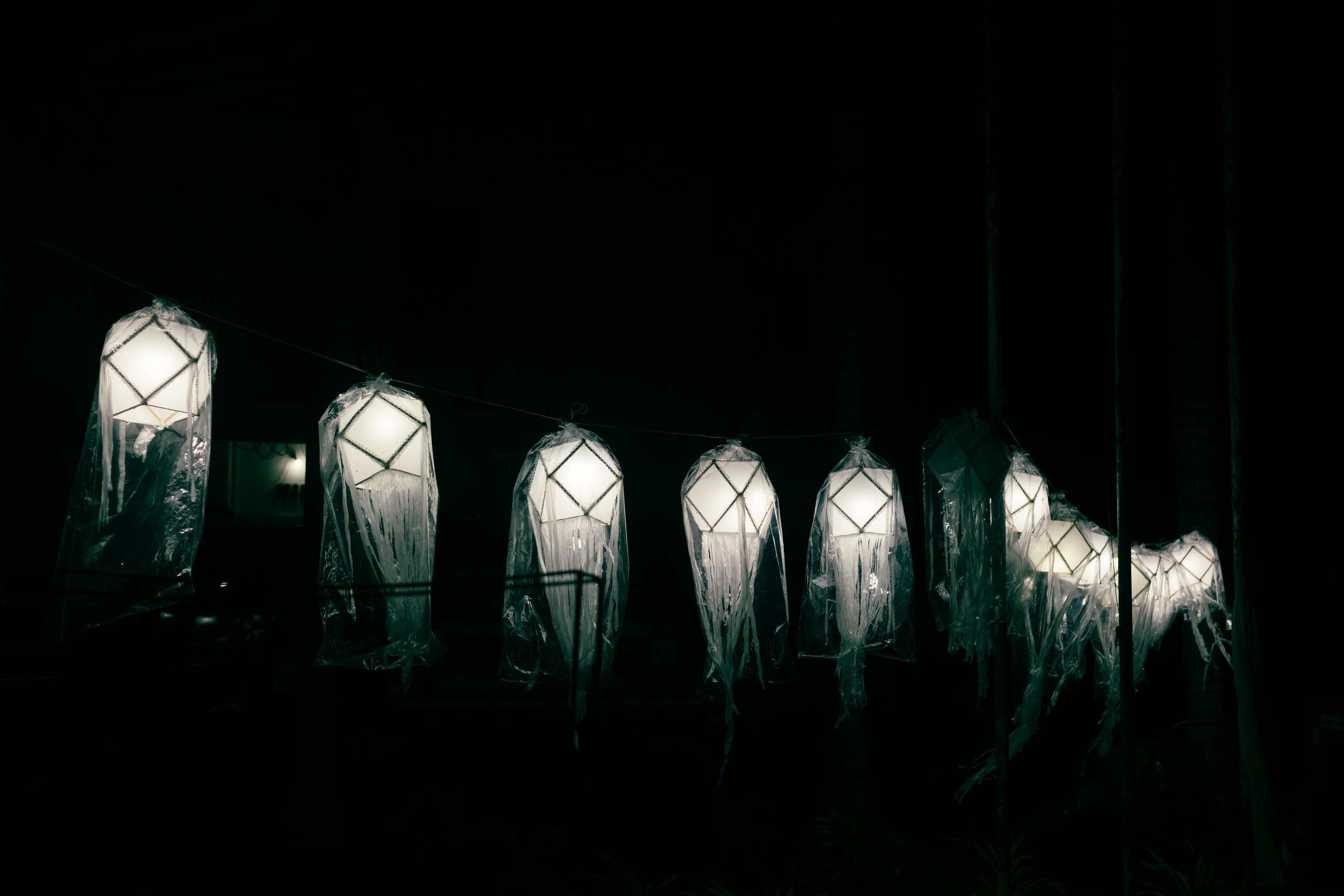 Vesak Poya 2023. Photographer Sonkina Tatiana (Tanya Ash)