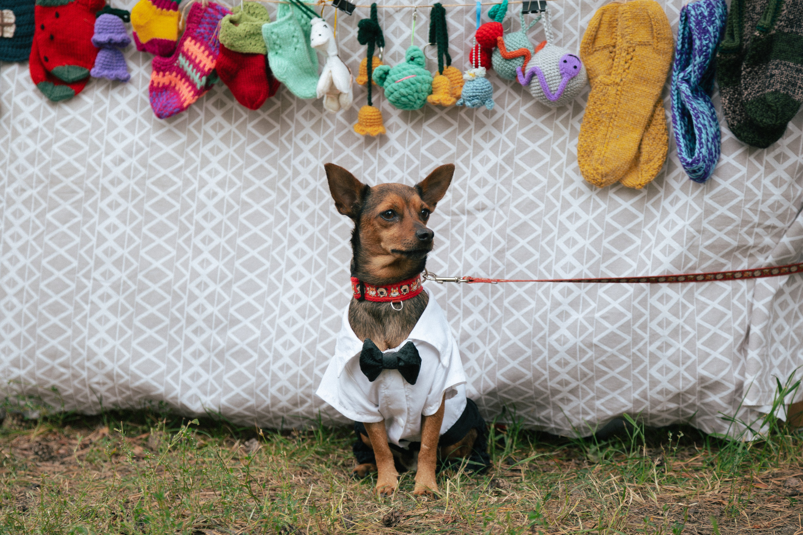 Репортаж. Репортажный и портретный фотограф в Омске Дарья Фральцова