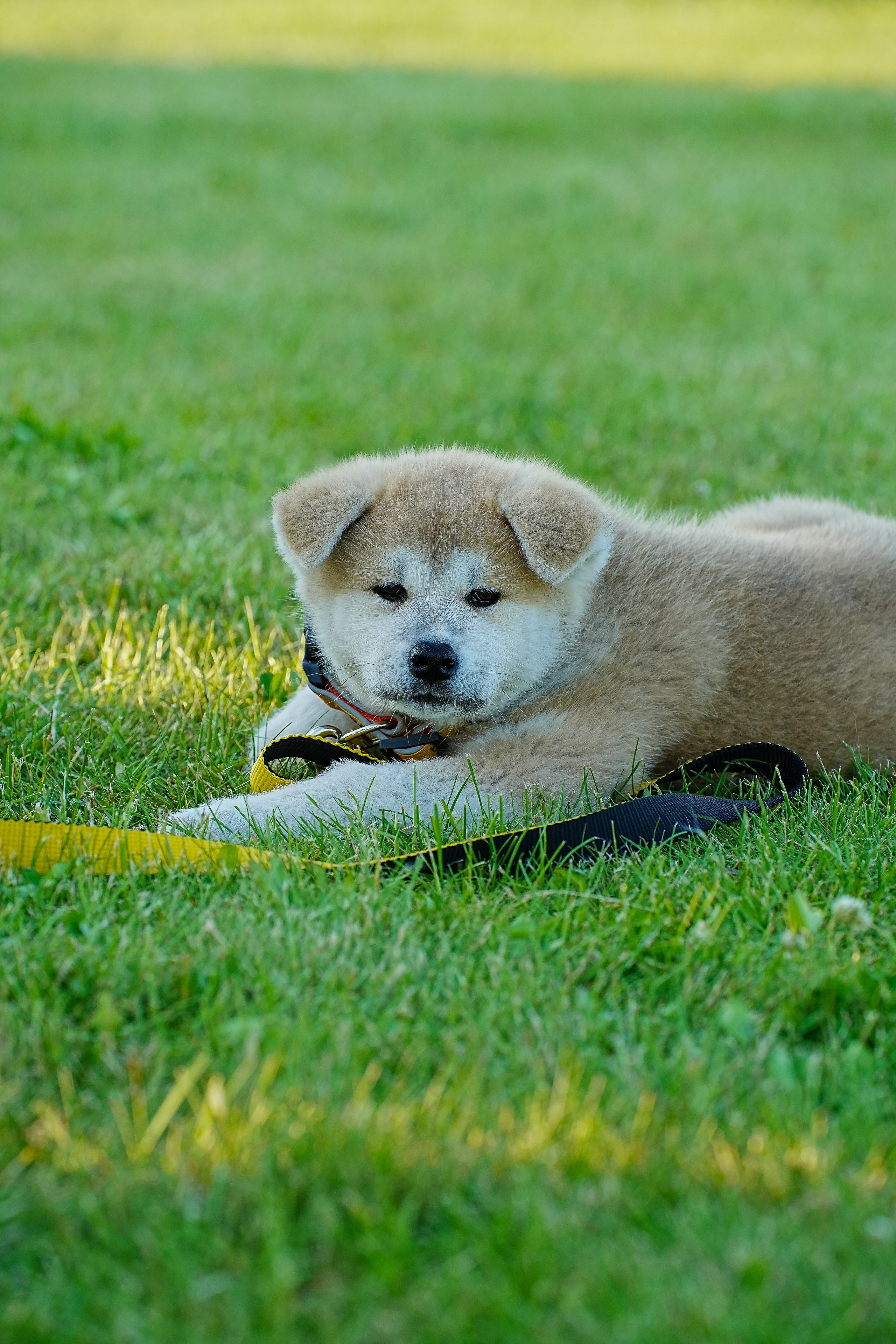Спортивный репортаж. Репортажный фотограф в Калининграде Морозов Кирилл