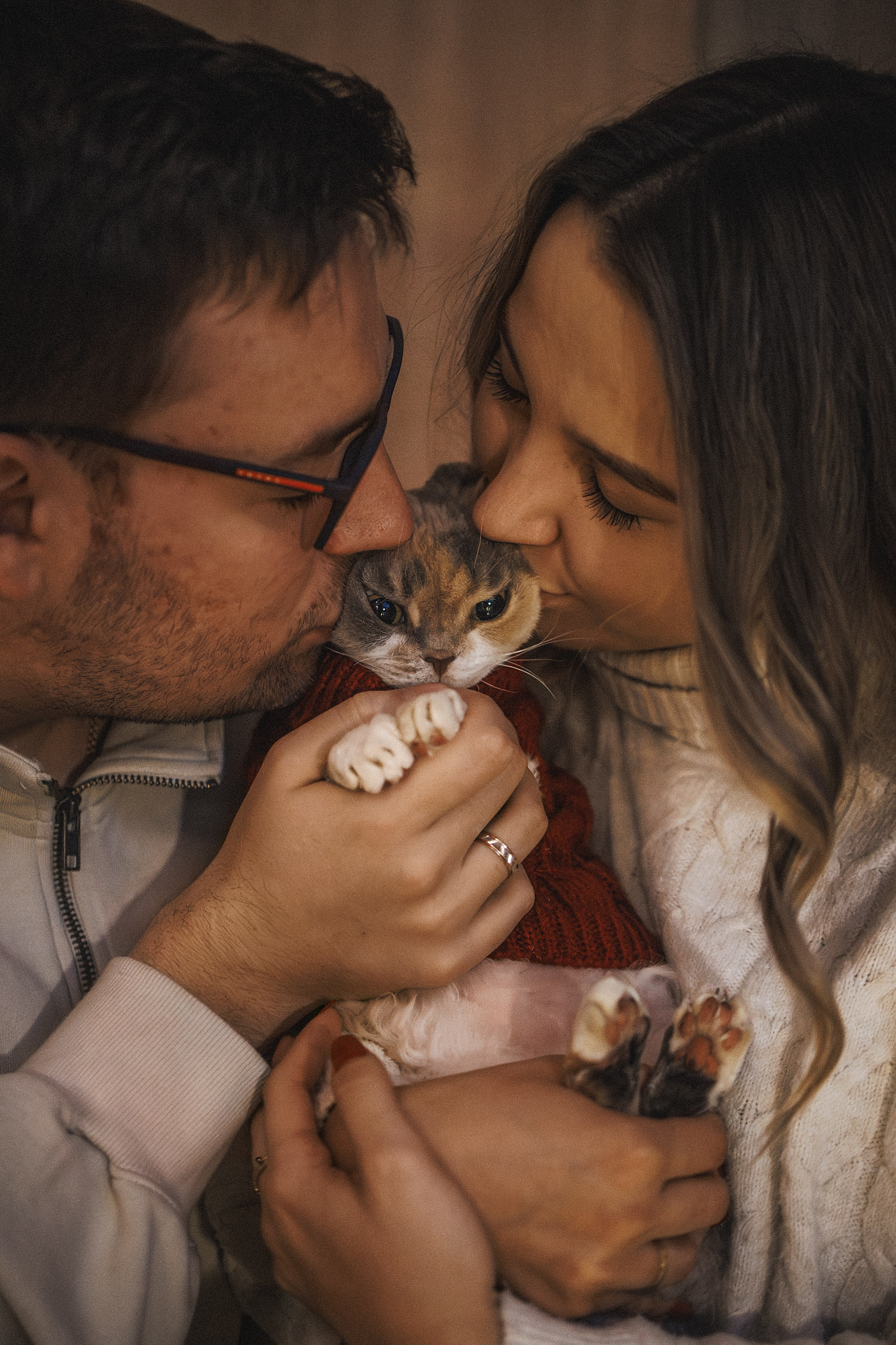 Домашняя новогодняя. Фотограф Анималист в Москве Анастасия Жучкова