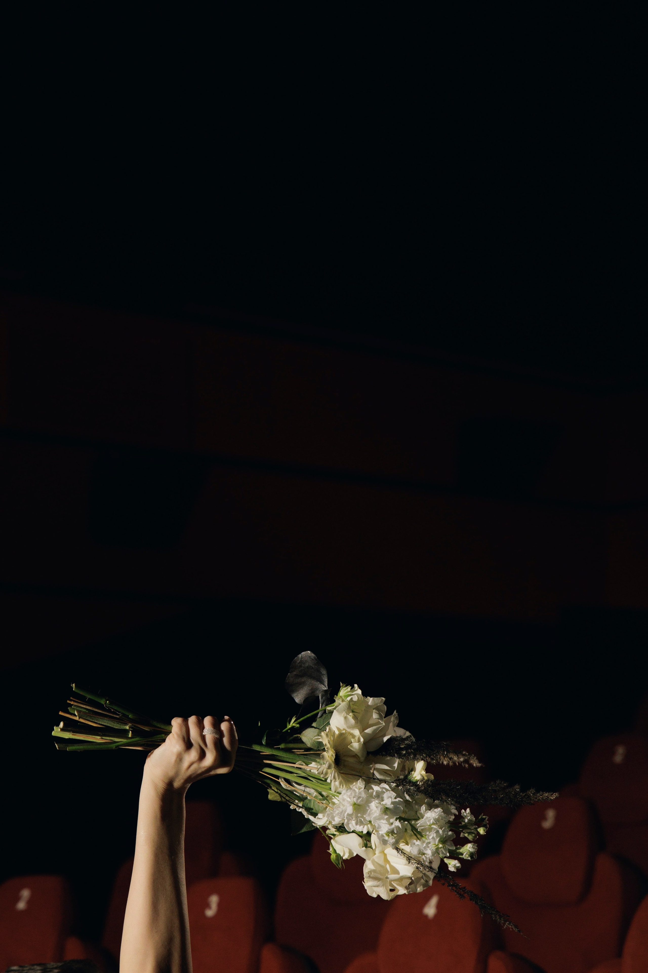 В КИНО. Свадебный фотограф Калининград