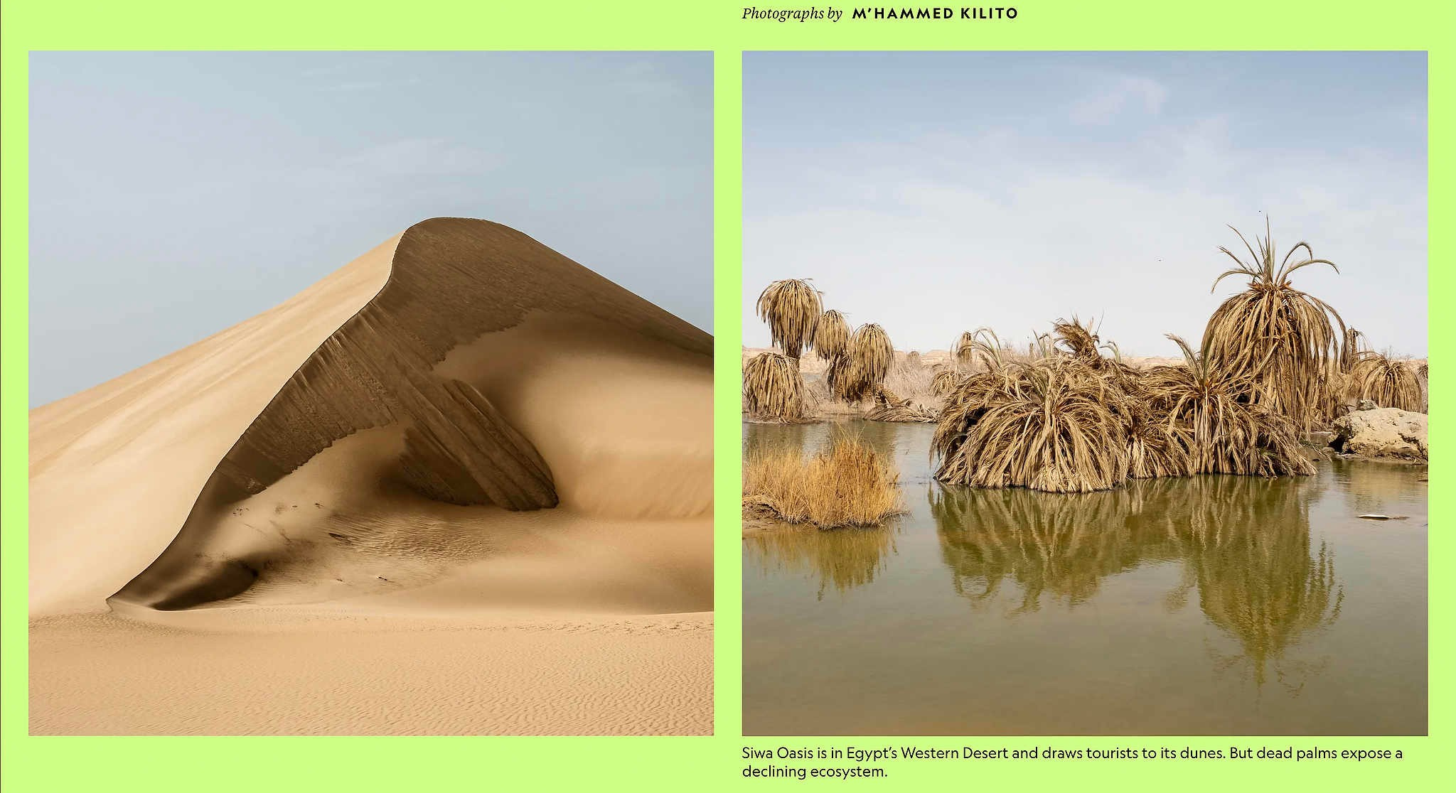 2024 год в объективе фотографов National Geographic. Фотограф Михаил Мордасов, Сочи. Мероприятия, портреты, спорт, репортаж