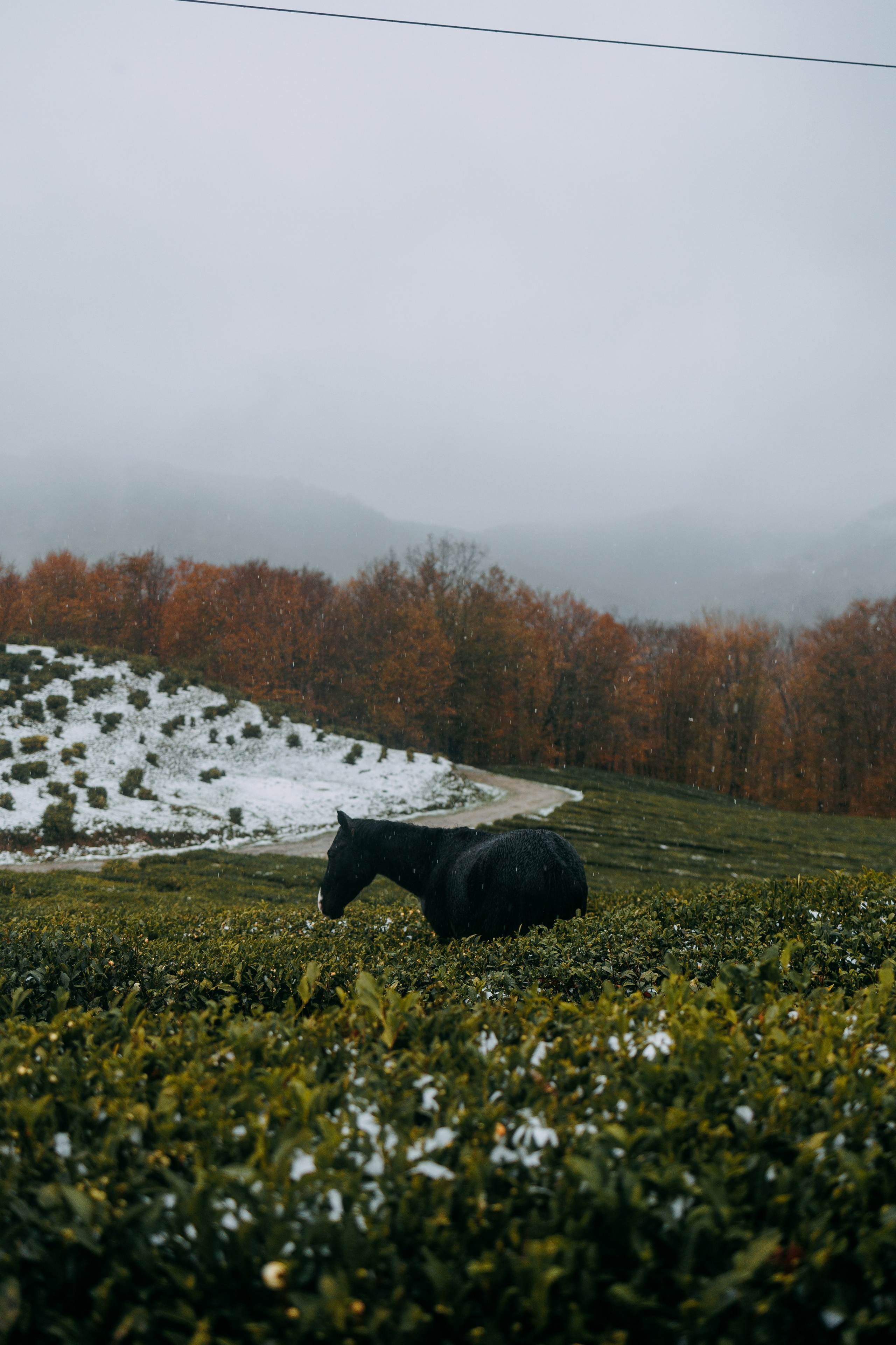 Сочи в декабре. Портретный фотограф в Санкт-Петербурге